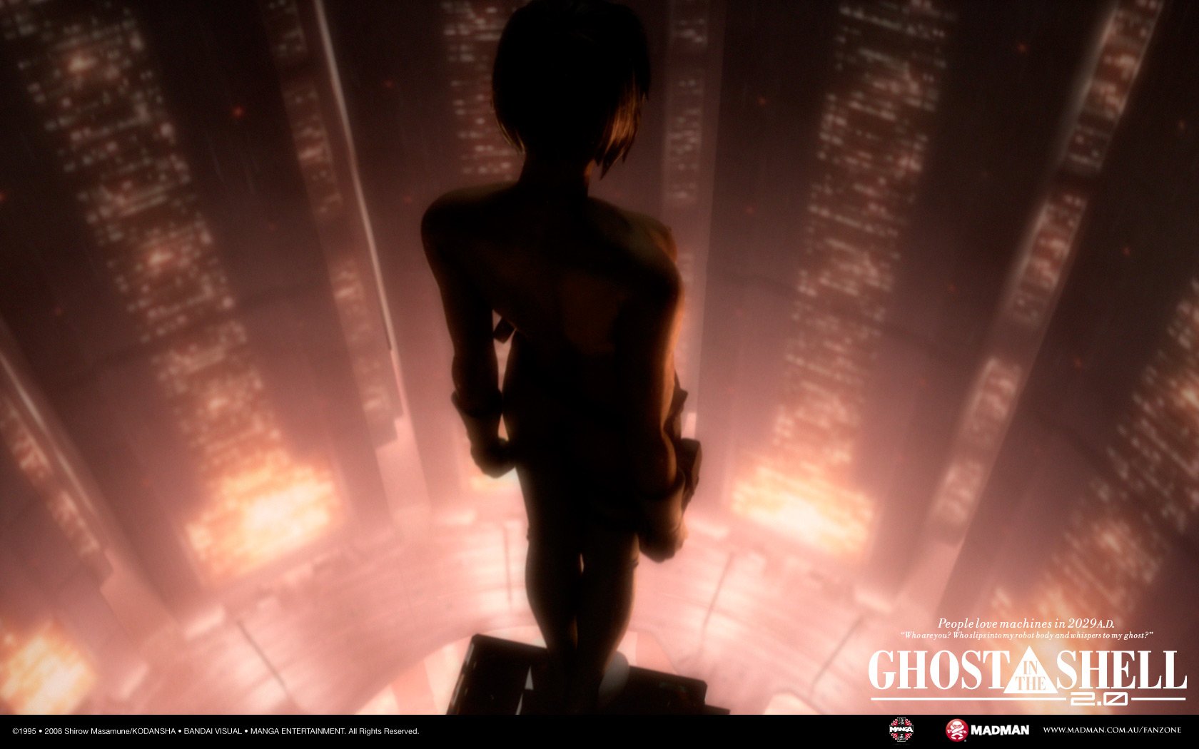 Ghost In The Shell 2 Innocence Wallpapers Wallpaper Cave