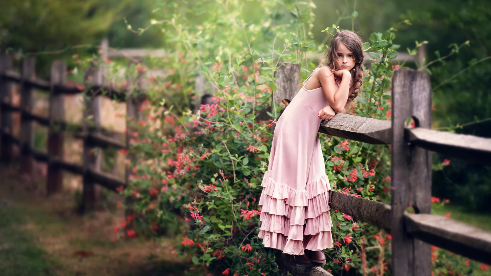 Little girl, pink dress, fence, flower, beautiful desktop wallpaper