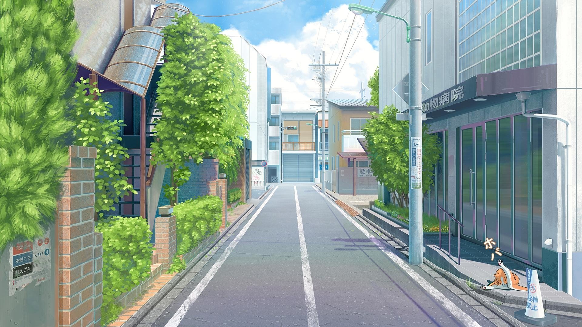 Street in Suginami ward HD Wallpaper