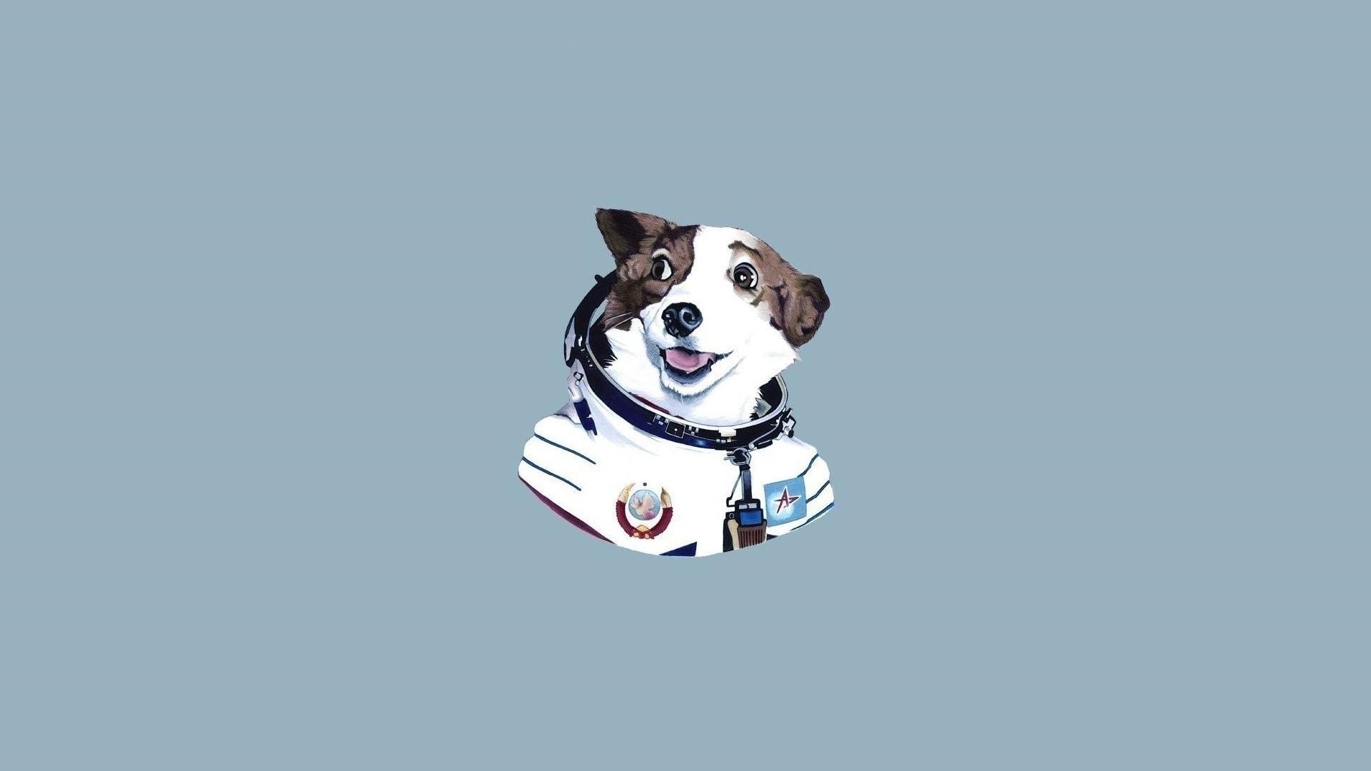 dog astronauta minimalism Wallpaper HD / Desktop and Mobile Background