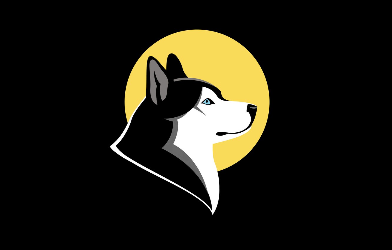 Wallpaper dog, minimalism, husky, husky. dog image for desktop, section минимализм