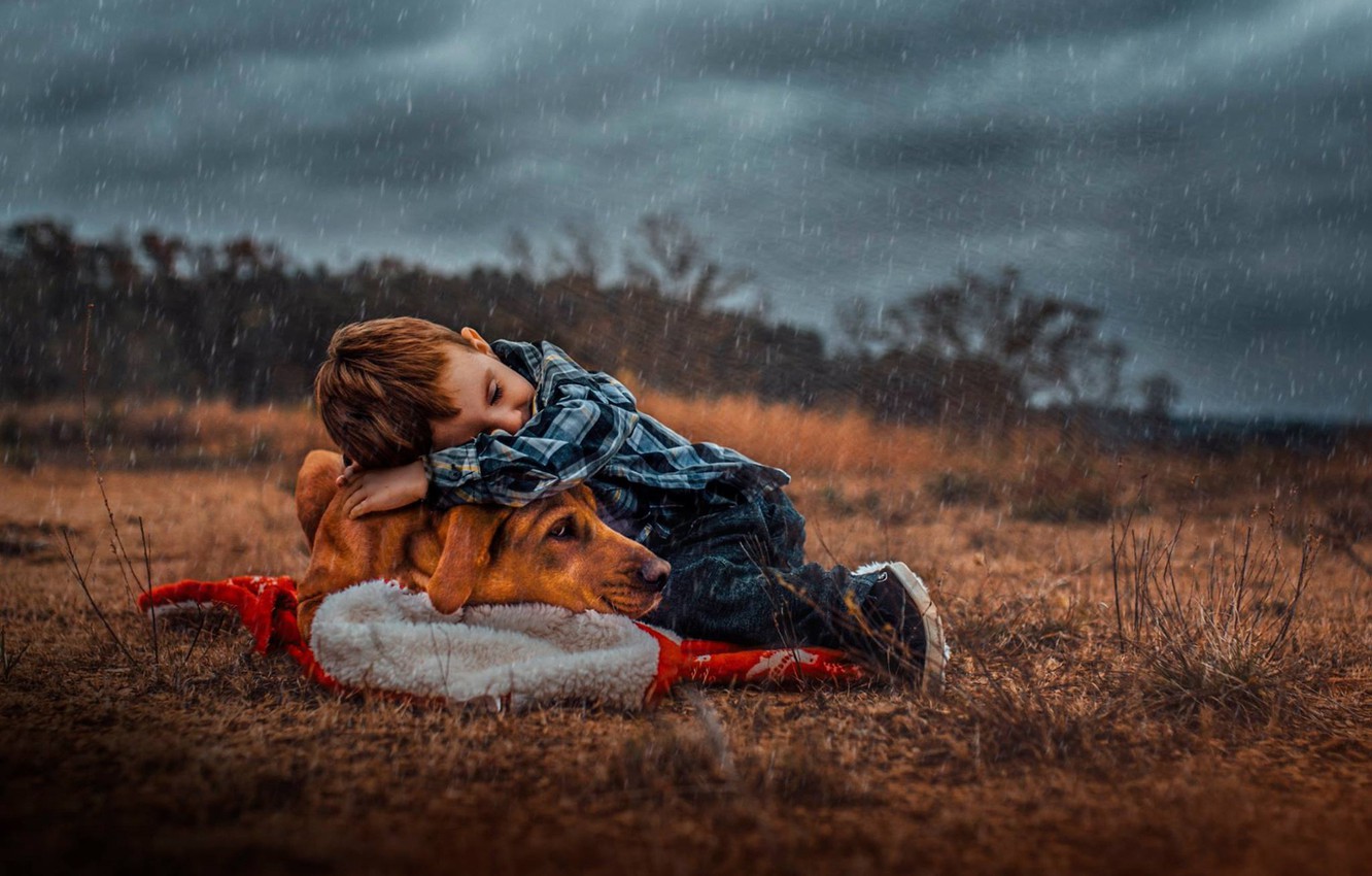 Wallpaper rain, dog, boy, friendship, friends image for desktop, section настроения