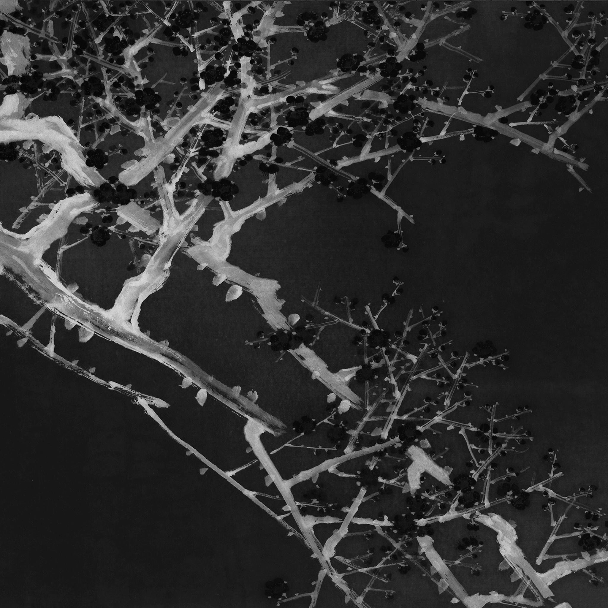 Oriental Art Flower Dark Black Painting Illust iPad Air Wallpaper Free Download