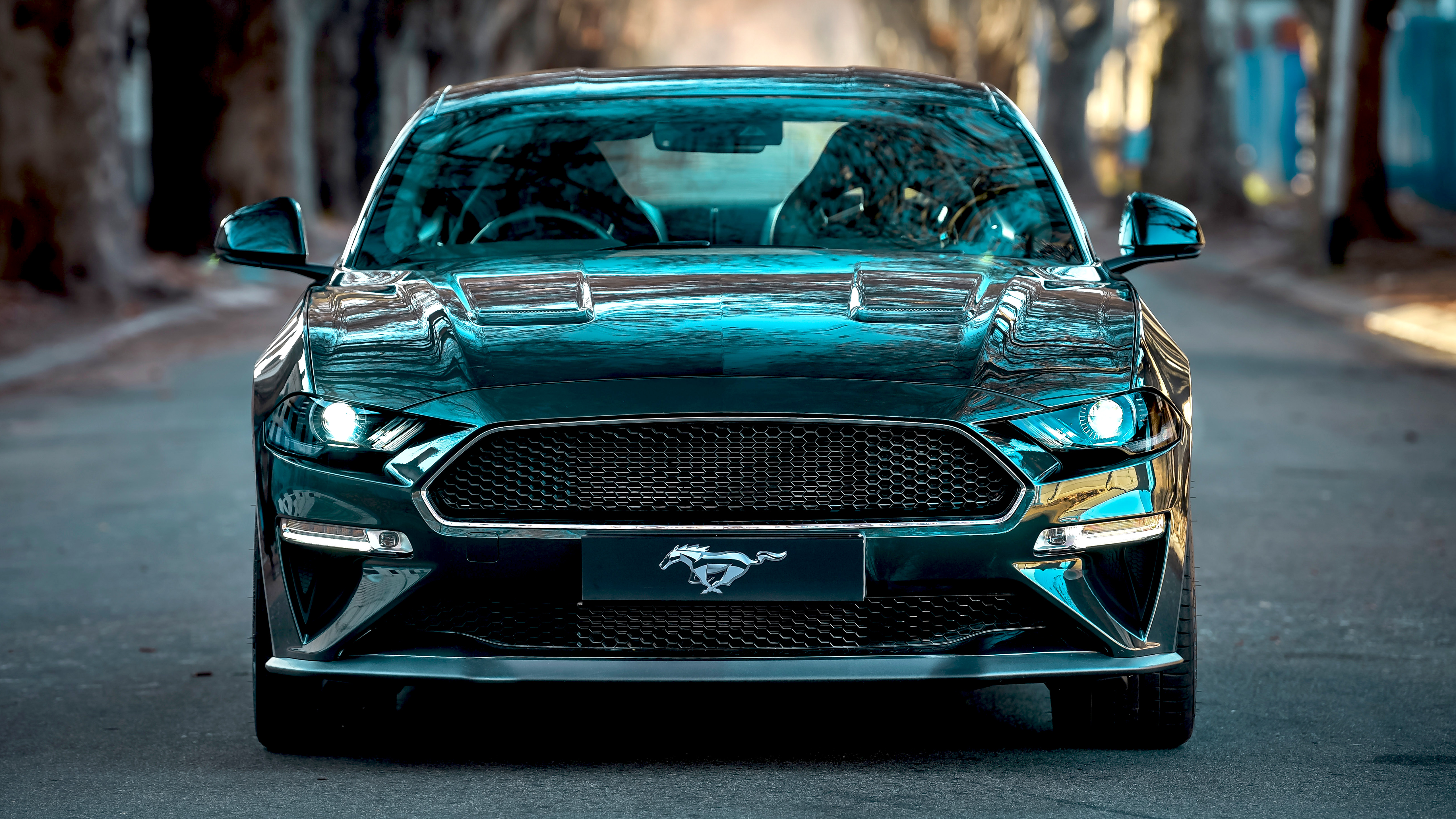 Ford Mustang Bullitt 2019 4K 3 Wallpaper Car Wallpaper