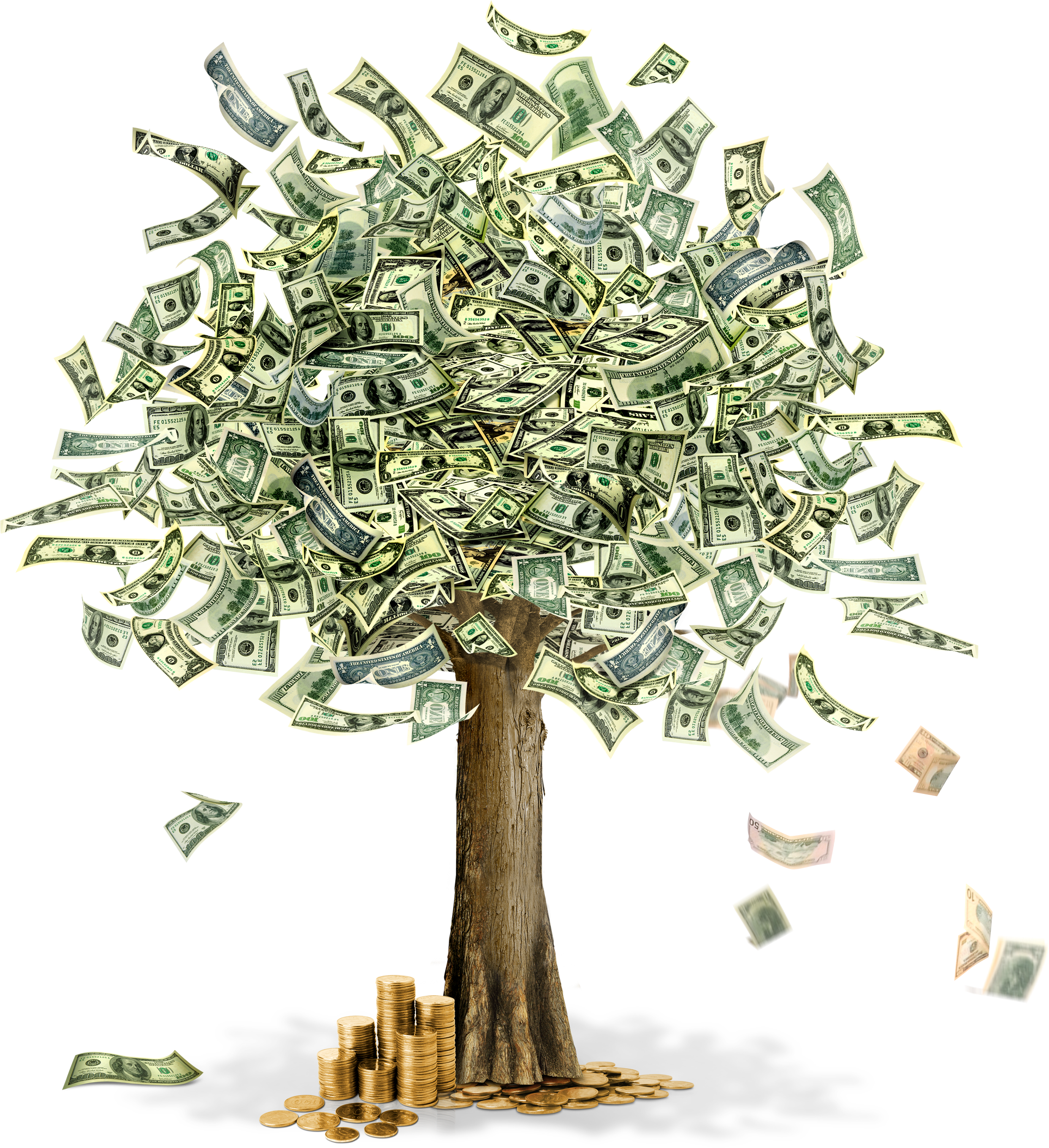 Money PNG image, free money picture download