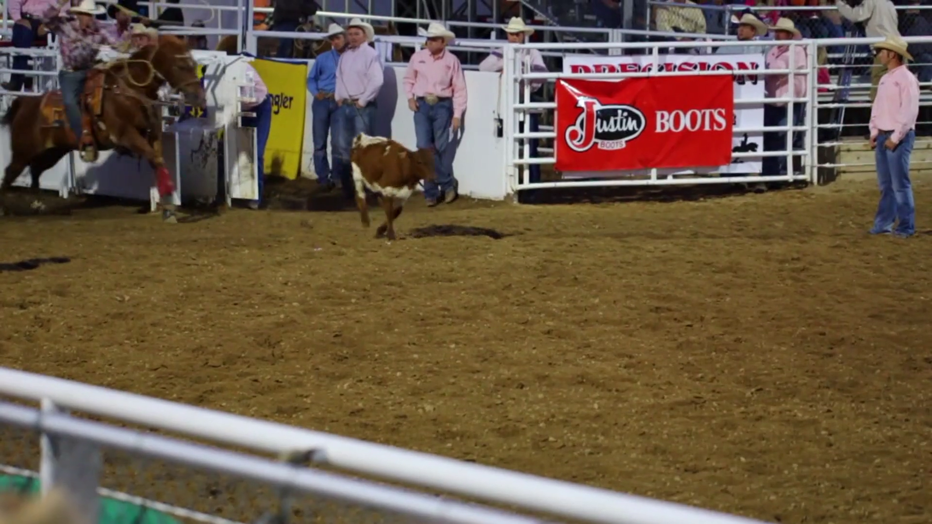 Cowboy Calf Roping at Rodeo Slow Motion Stock Video Footage