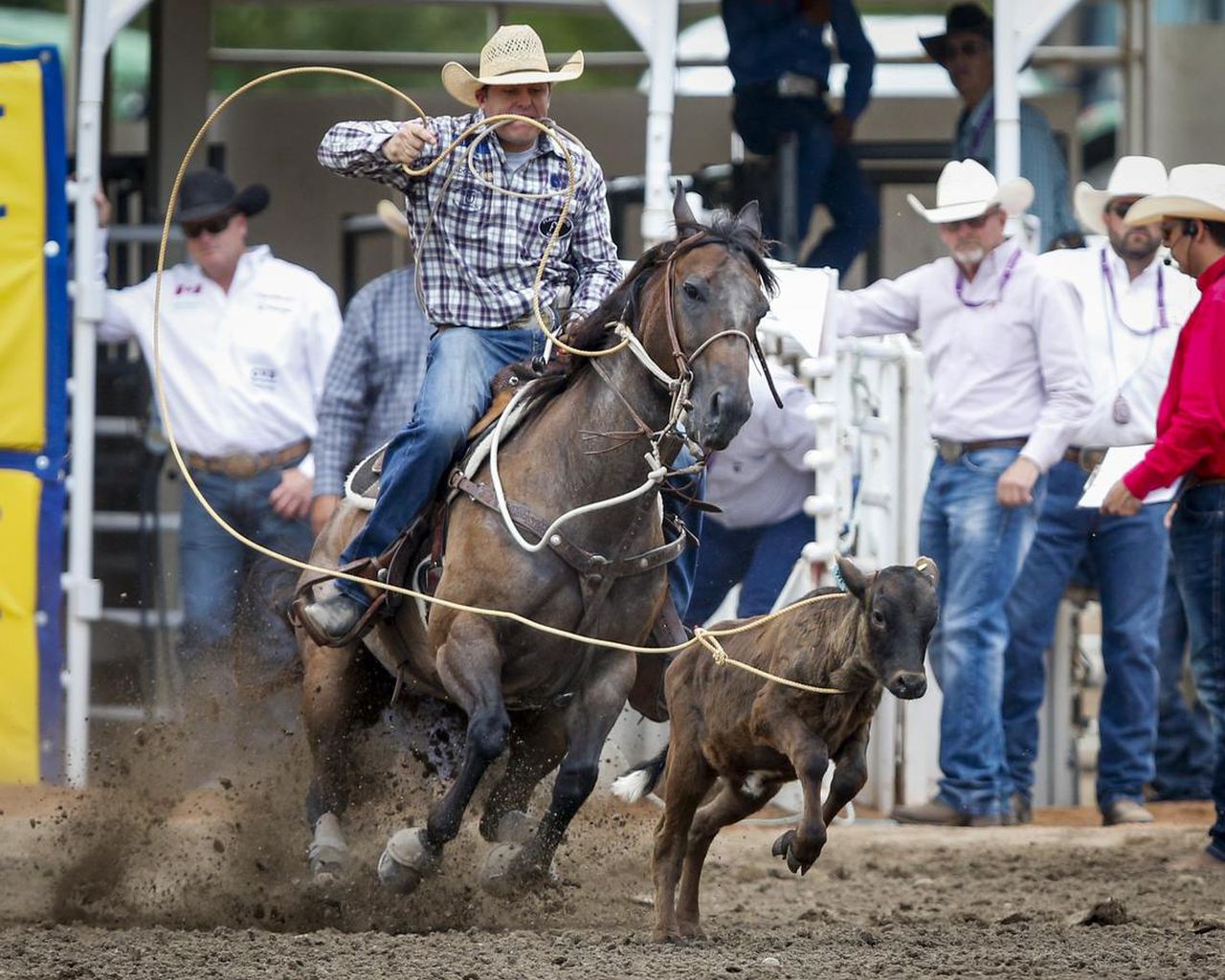Caleb Smidt wins Calgary Stampede rodeo, beating out three former champions