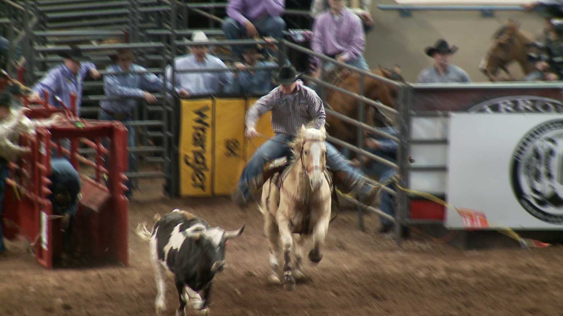 Cowboys upset with PRCA rule change for calf roping. KFOR.com Oklahoma City