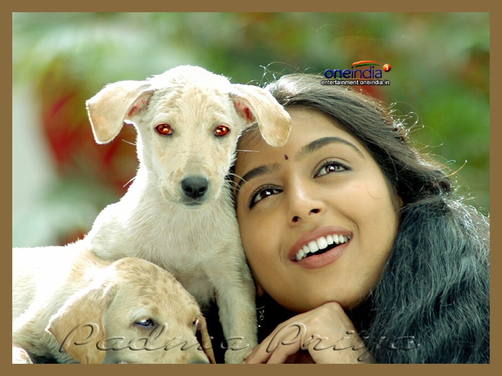 Padma Priya HQ Wallpaper. Padma Priya Wallpaper