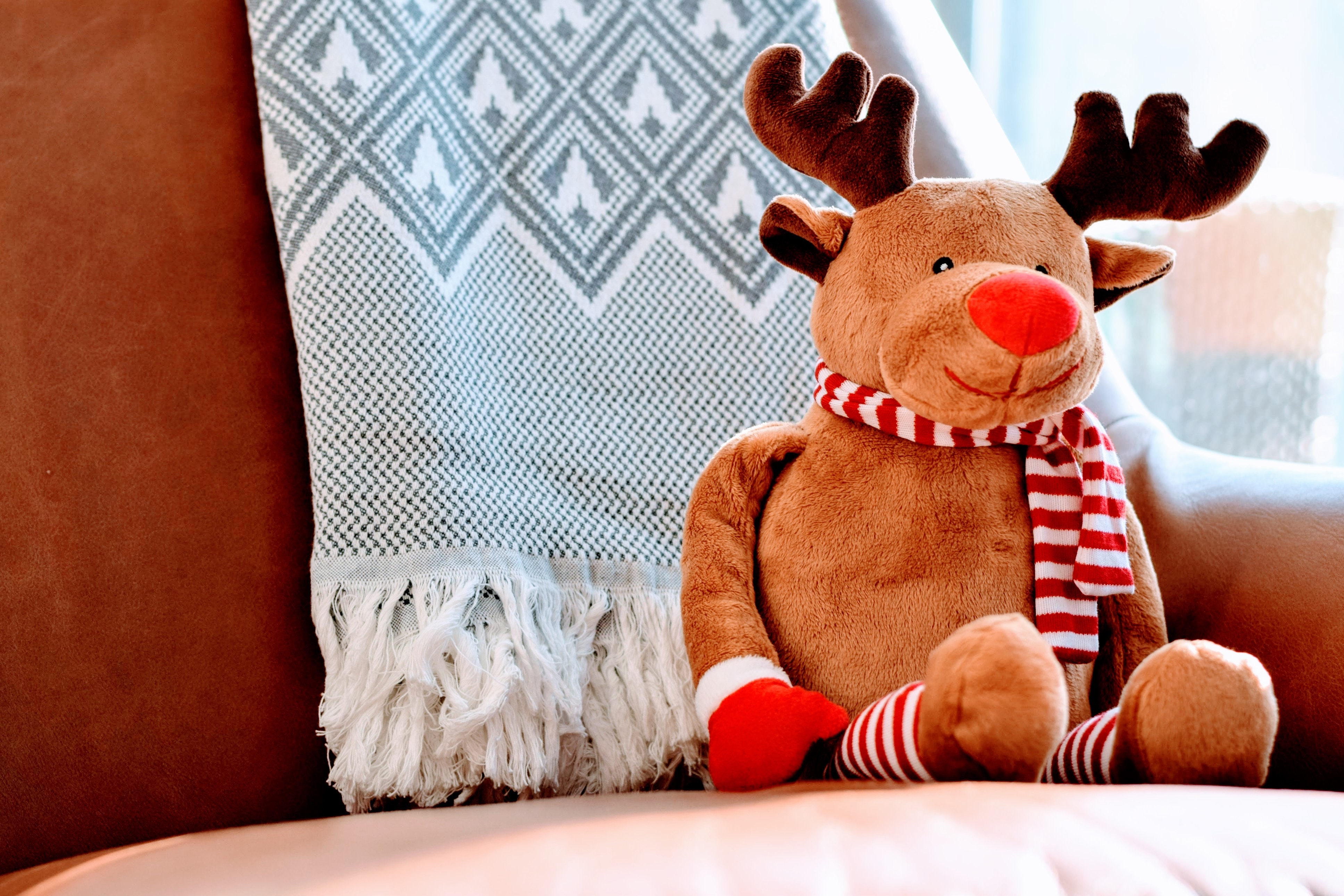 3871x2583 #sofa, #wallpaper, #december, #xma, #christmas, #cute, #blanket, #animal, #scarf, #teddy, #armchair, #Public domain image, #toy, #chair, #reindeer, #couch, #christmas background, #holiday, #christmas wallpaper, #rudolph, #stuffed