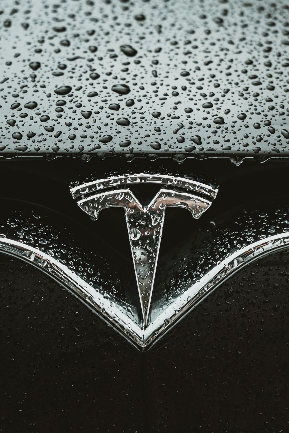Tesla Logo Picture. Download Free Image