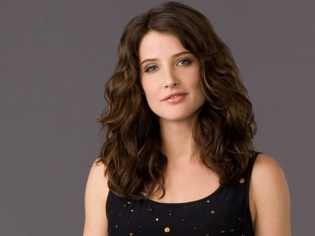How I Met Your Mother Image. Icon, Wallpaper and Photo on Fanpop. Cobie smulders, Cobie smulders bikini, Beauty girl