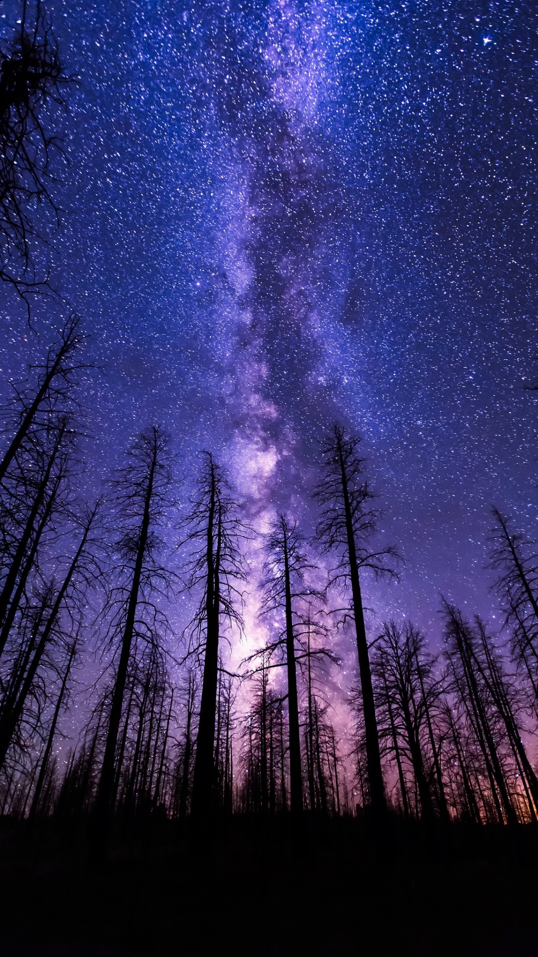 Night Sky iPhone Wallpaper