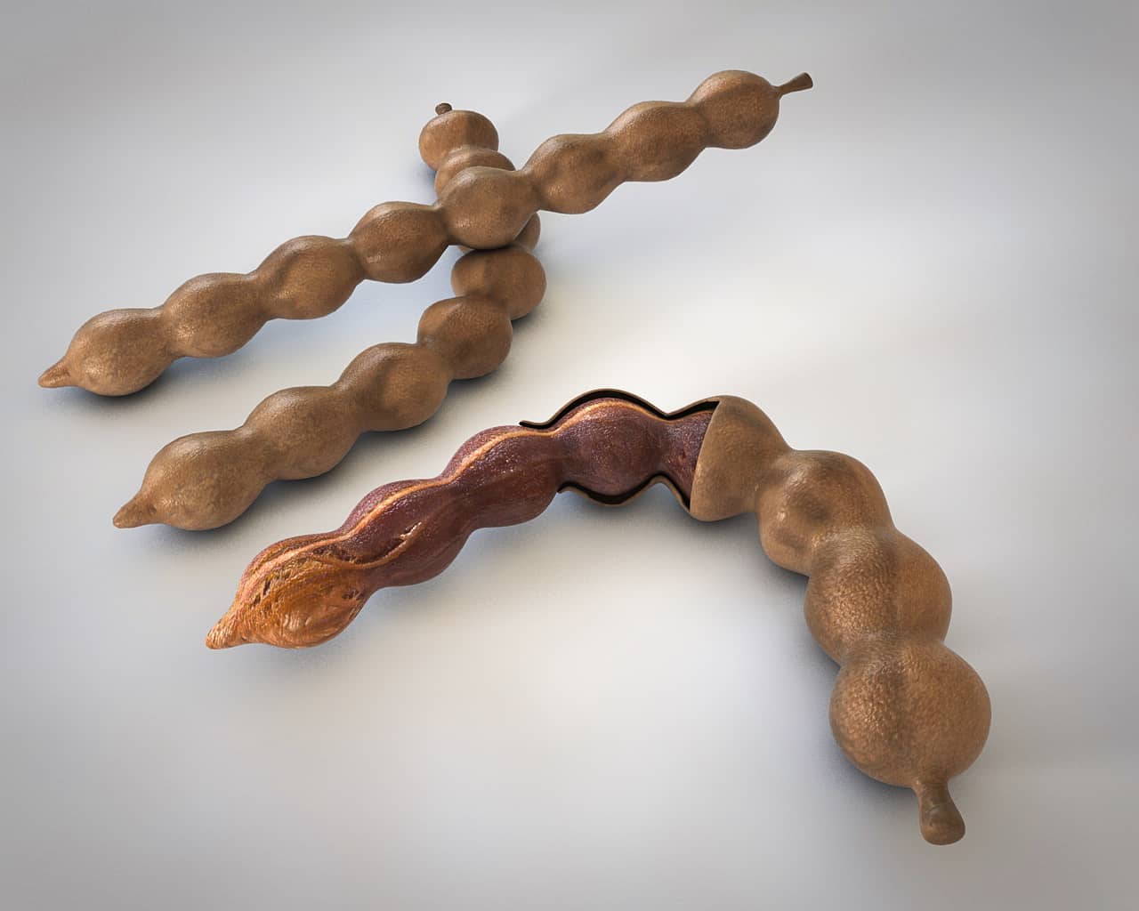 Tamarind Wallpapers Wallpaper Cave Wp10082301