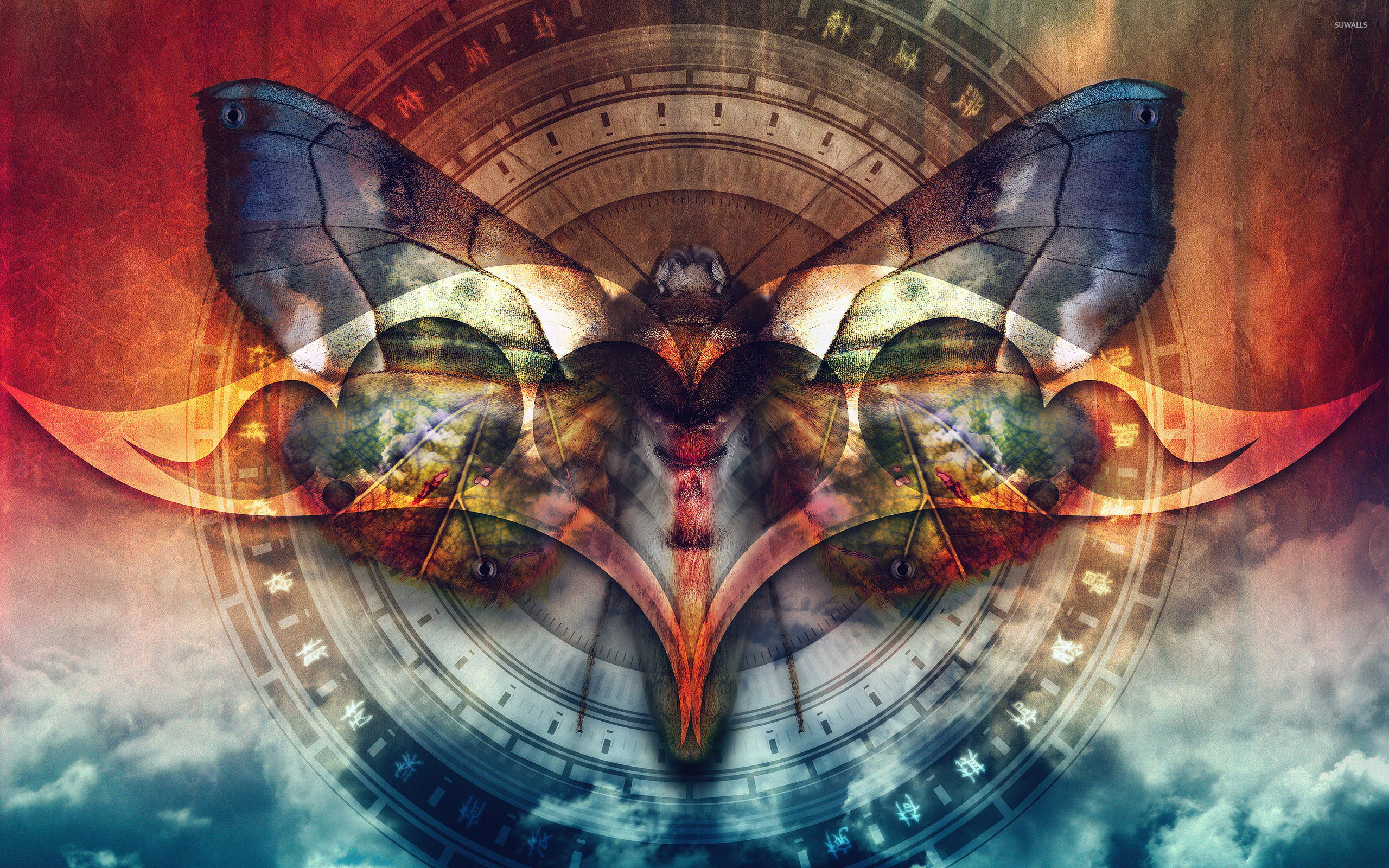 Moth in the shadow wallpaper Art wallpaper