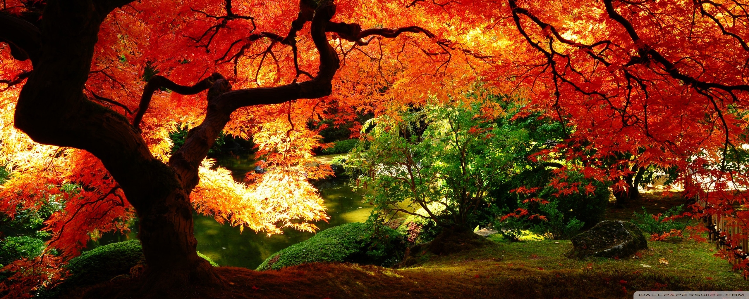 Beautiful Autumn Ultra HD Desktop Background Wallpaper for: Multi Display, Dual Monitor, Tablet