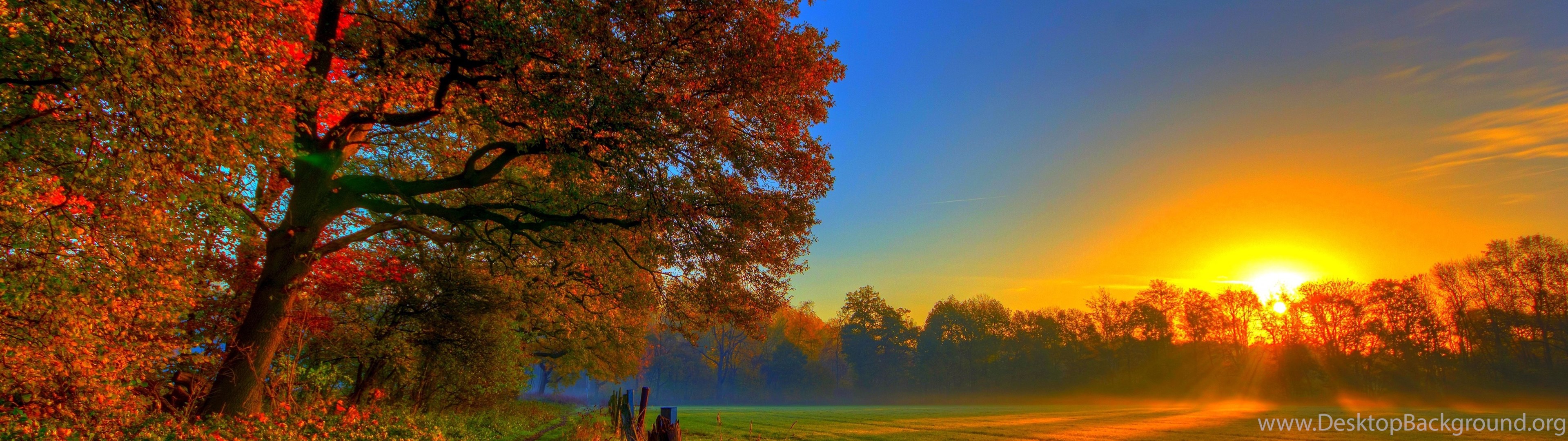 Sunset Autumn Season HD Wallpaper Desktop Background