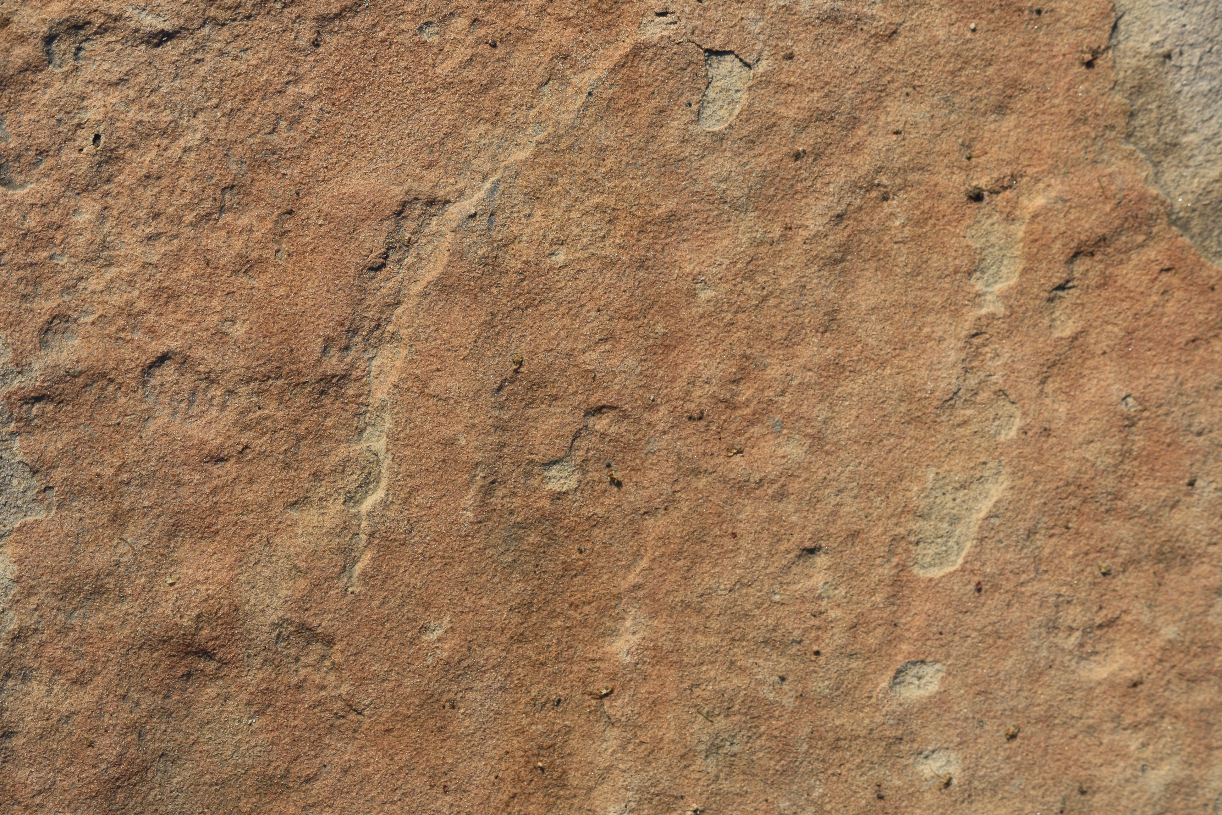 Sandstone Rock Texture Picture. Free Photograph. Photo Public Domain