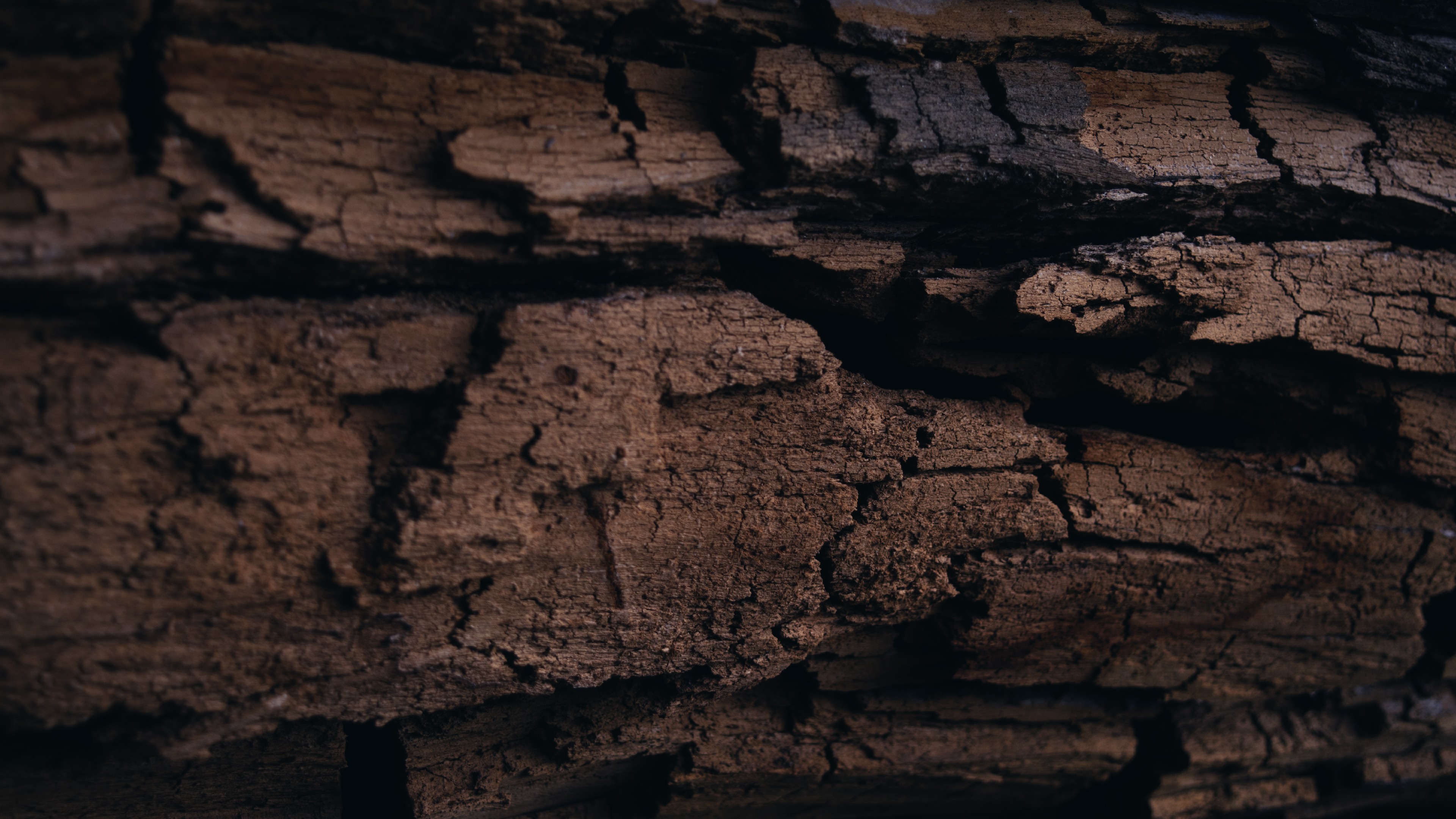 Wallpaper, rock, wall, wood, texture, log, Formation, tree, material, darkness, soil, geology 3840x2160