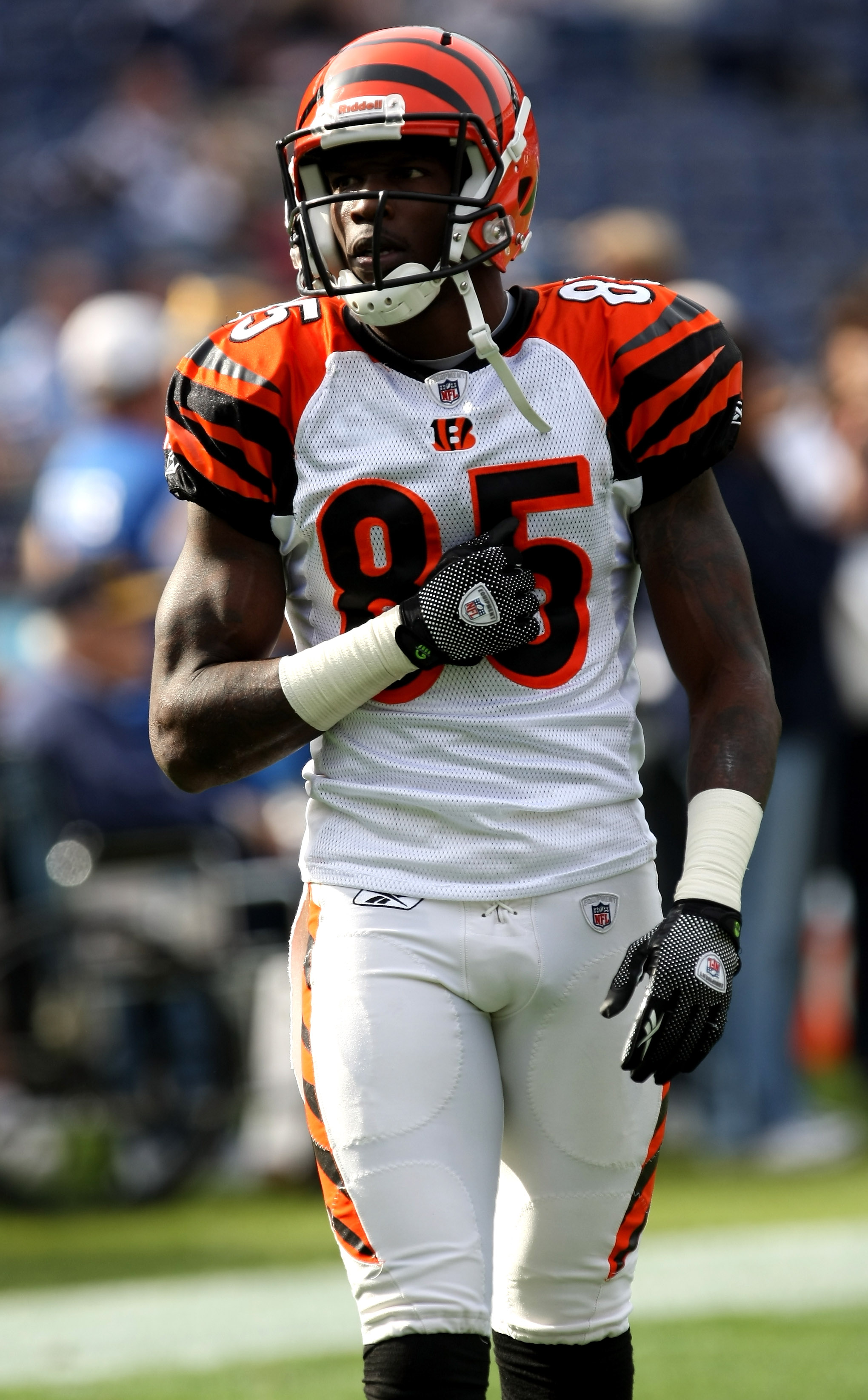 1,314 Bengals Chad Ochocinco Stock Photos, High-Res Pictures, and