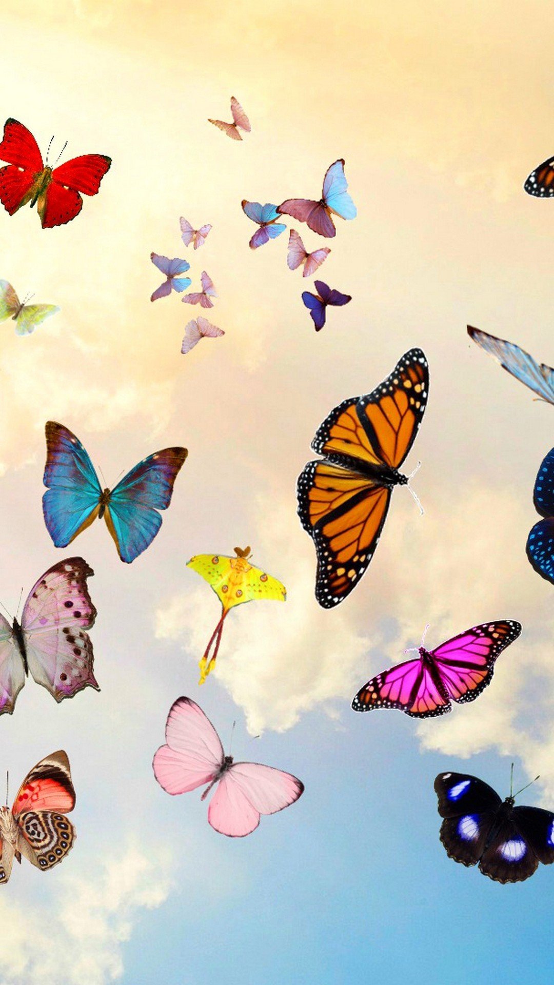 butterfly wallpaper hd full screen free download for mobile