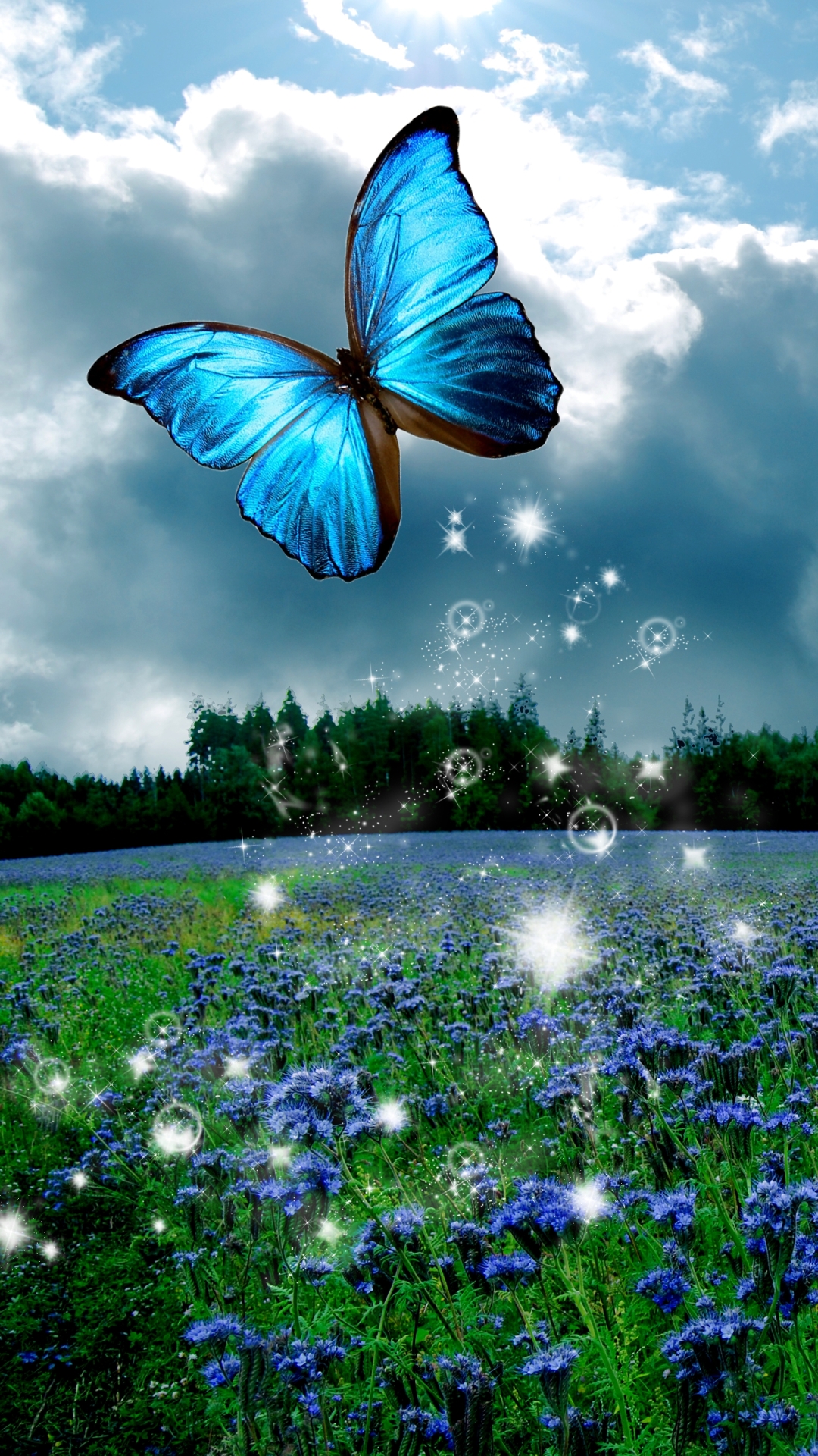 Blue Butterfly In Nature