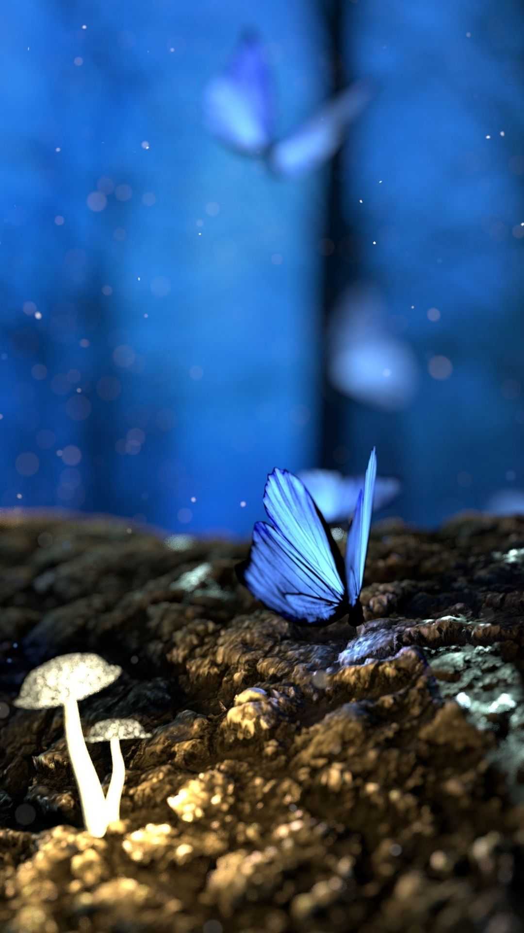 Blue Butterfly Wallpaper Free HD Wallpaper