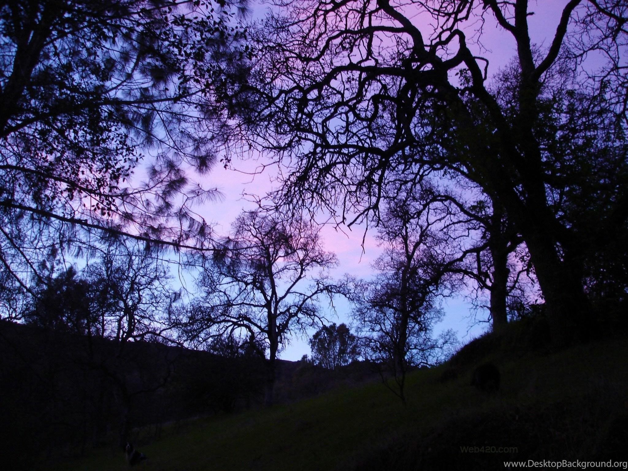 Kawaii Pastel Goth Tumblr Background Image Gallery Photonesta Desktop Background