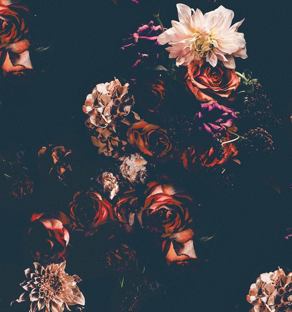 Gothic Floral Wallpaper, HD Gothic Floral Background on WallpaperBat