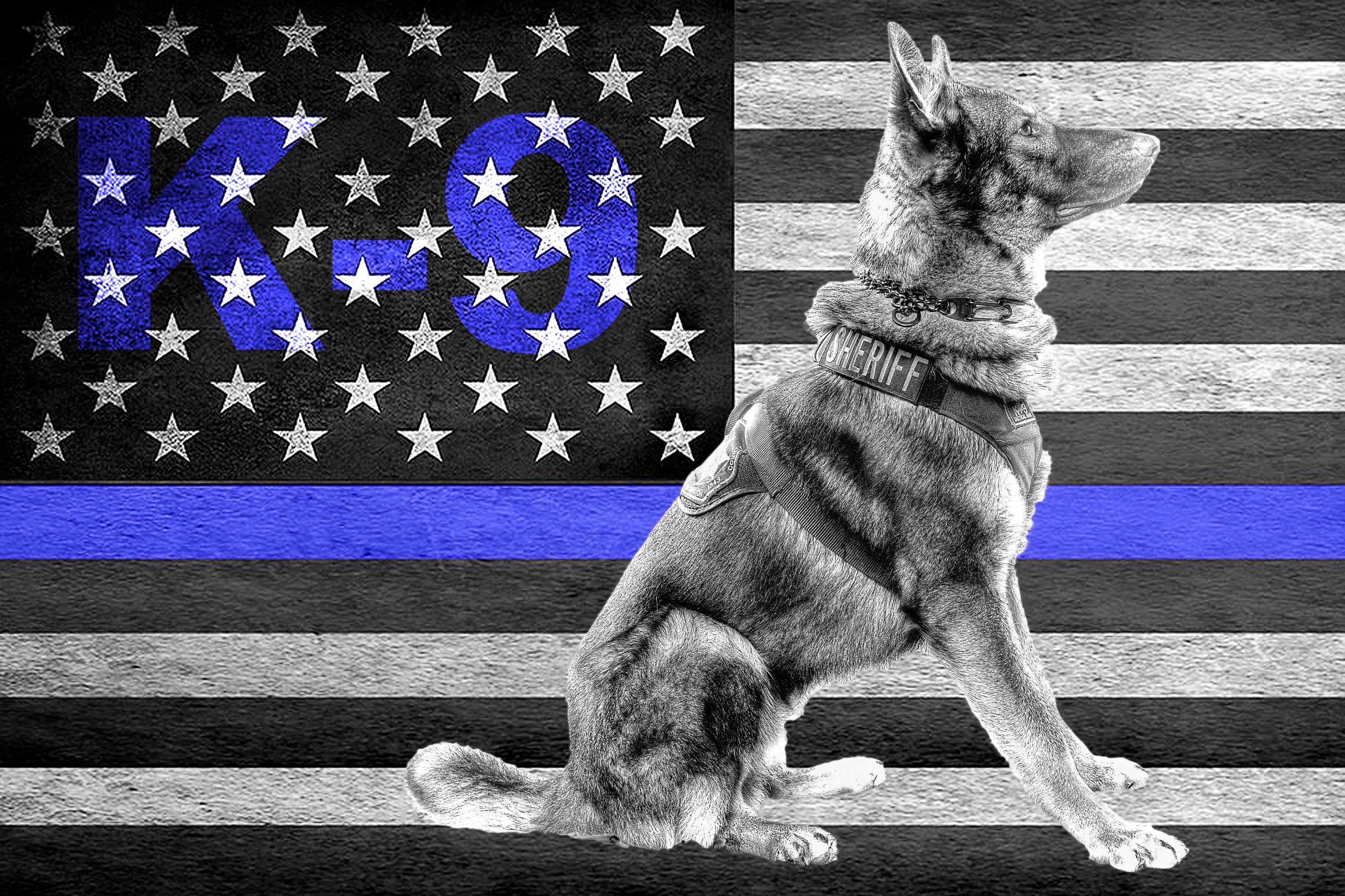 Thin Blue Line K K9 officer gift, Police dog, Wall Art. K9 officer gifts, K9 officer, Police dogs