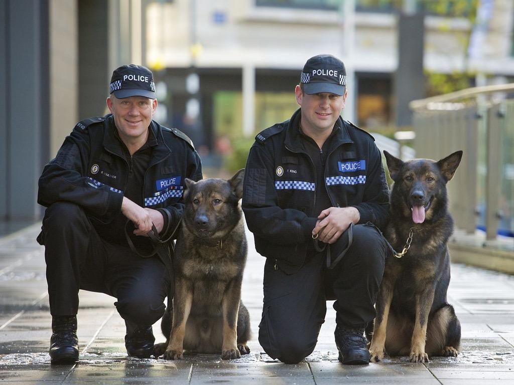 Police Dogs Wallpaper in HD for Android