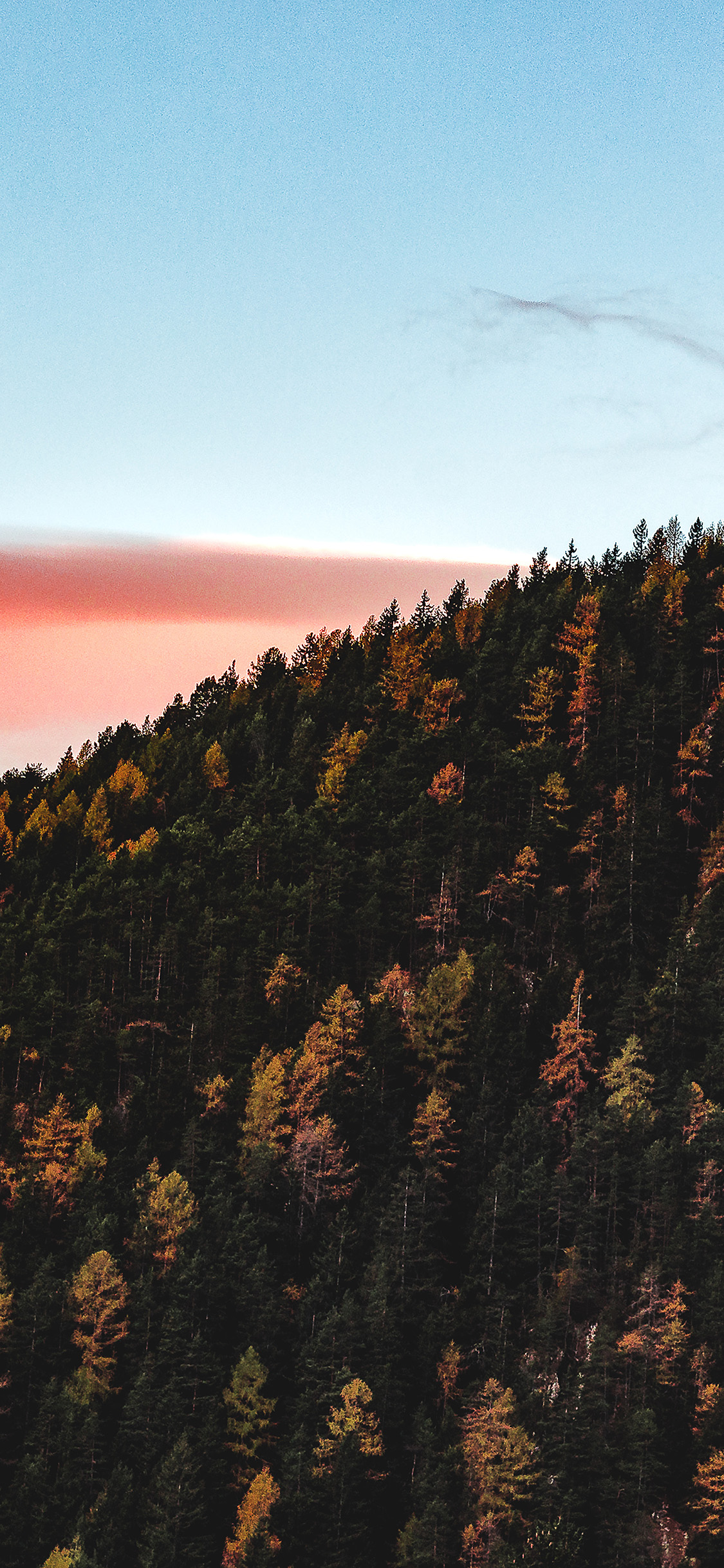 iPhone X wallpaper. fall mountain wood autumn nature