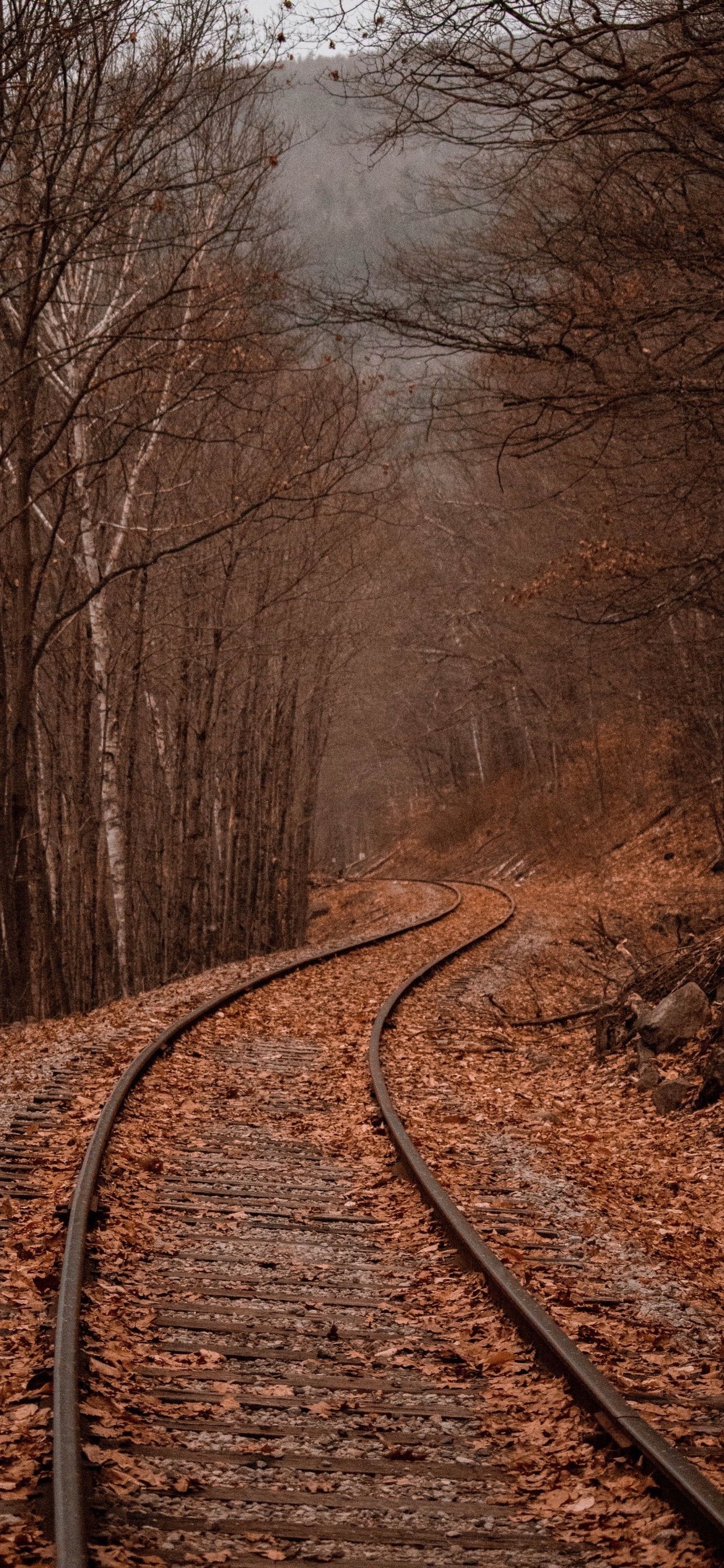 Fall iPhone Wallpaper