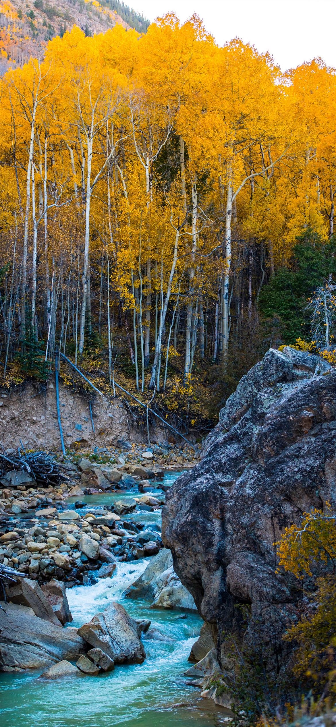 Best Autumn iPhone 12 HD Wallpaper