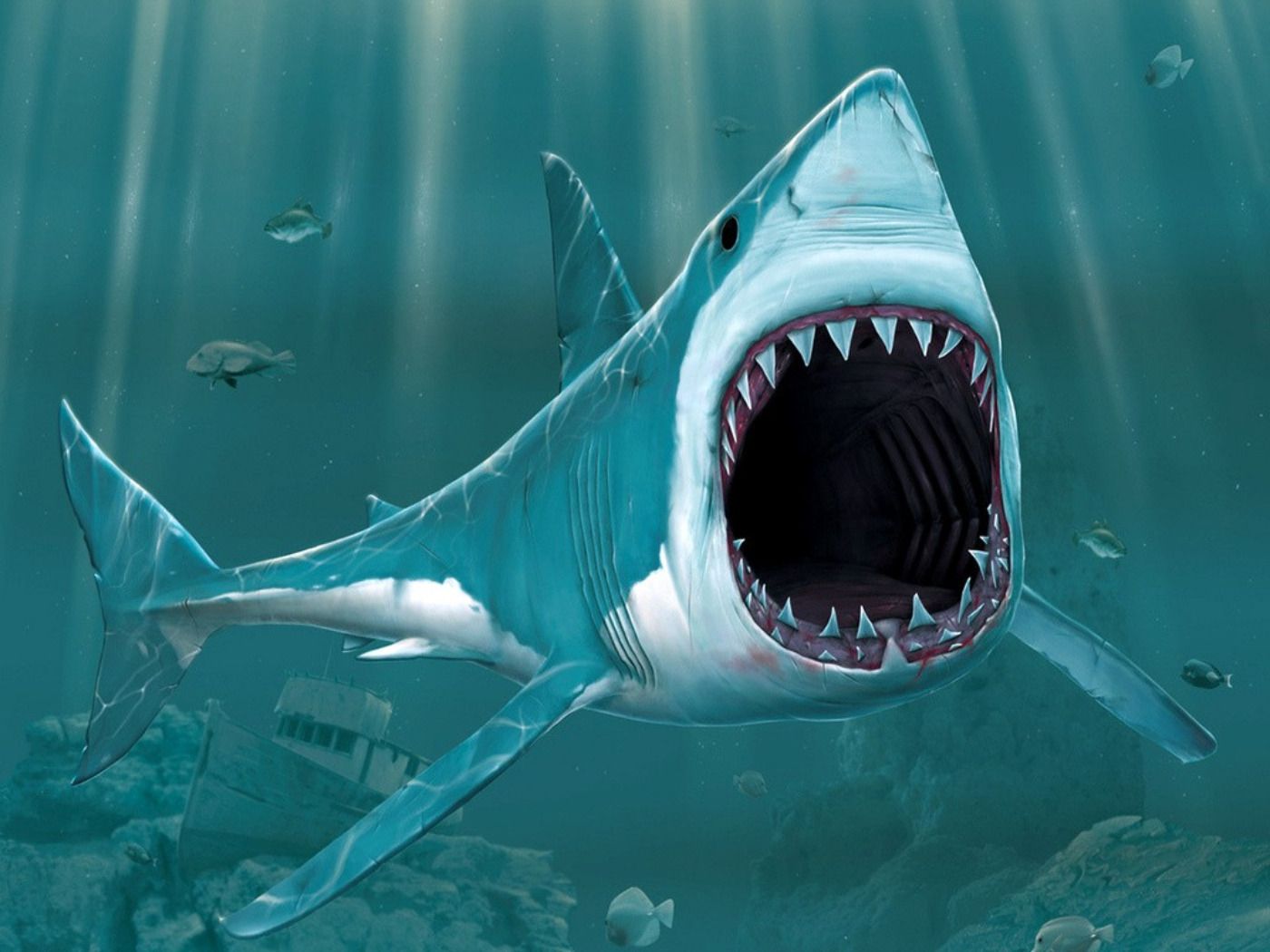 Shark Teeth Wallpapers - Wallpaper Cave