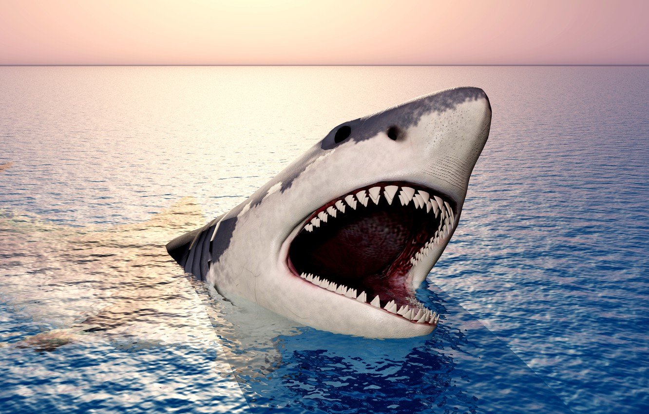 Shark Teeth Wallpapers - Wallpaper Cave