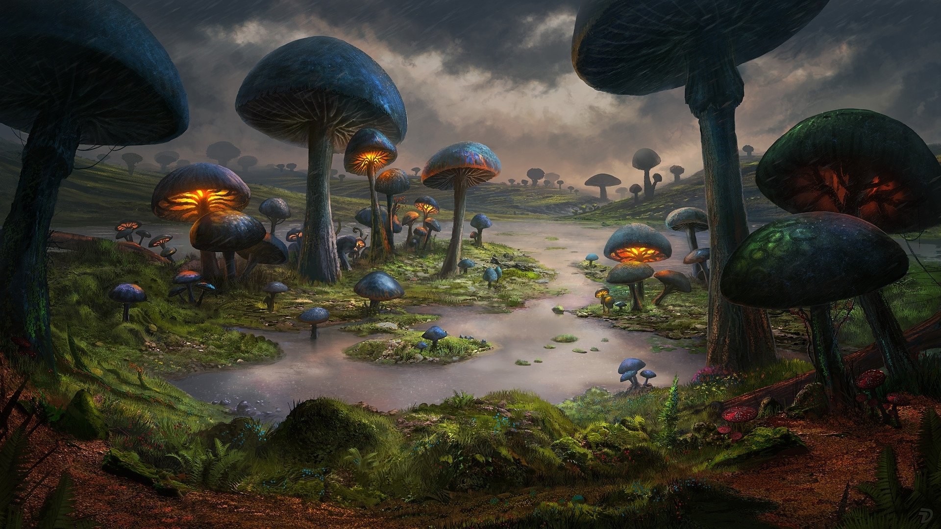 Mushroom Forest Wallpapers Wallpaper Cave