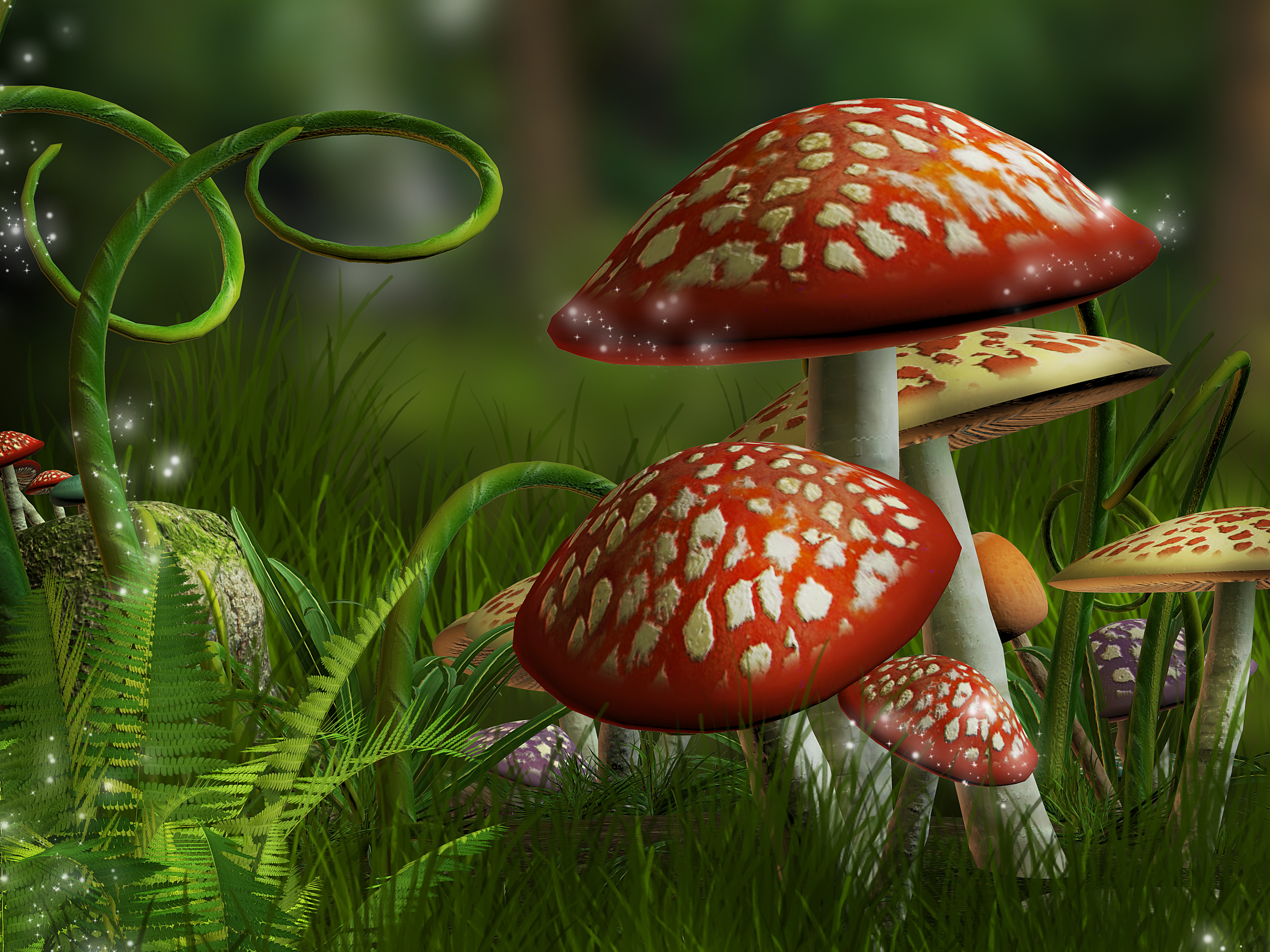 Magical Mushroom Forest HD Wallpaper