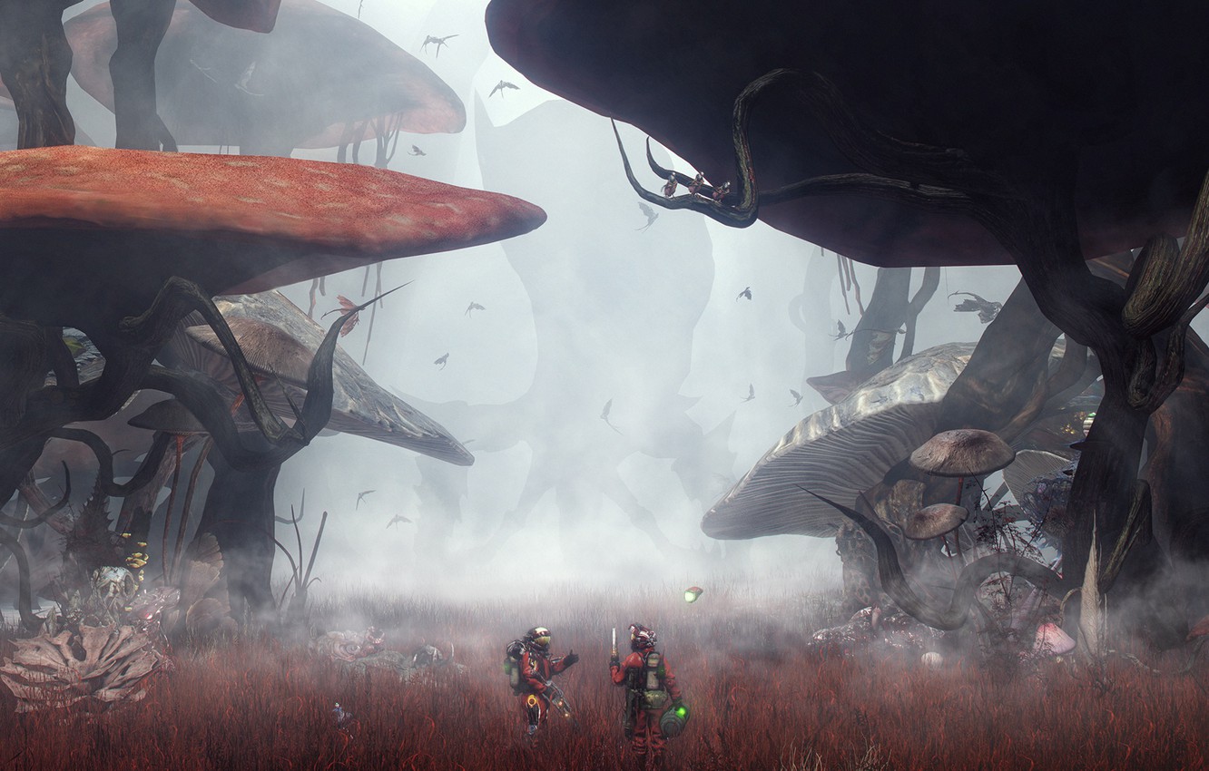 Wallpaper forest, vegetation, mushrooms, aliens, the thing in the mushroom forest image for desktop, section фантастика