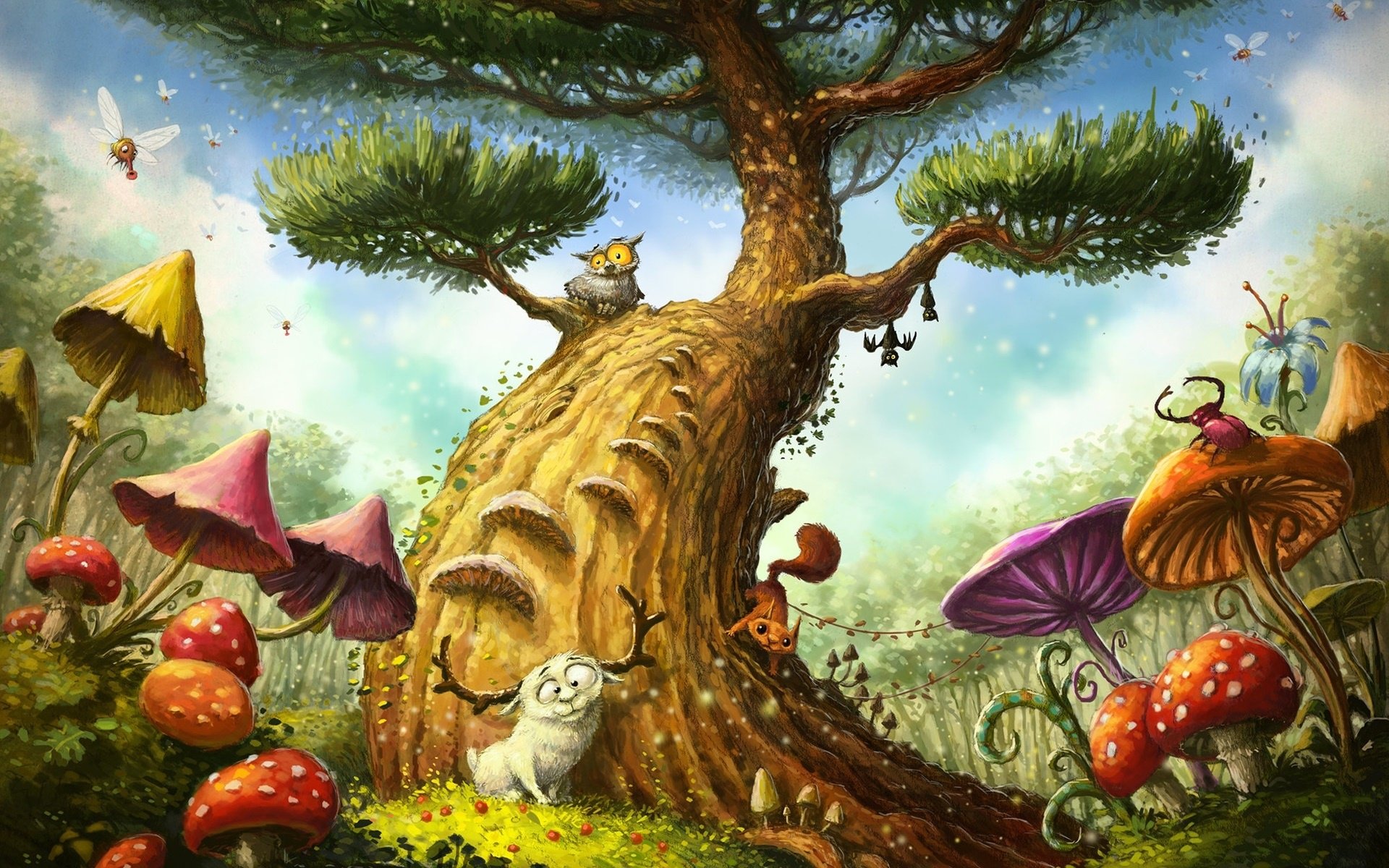 Mushroom Forest HD Wallpaper