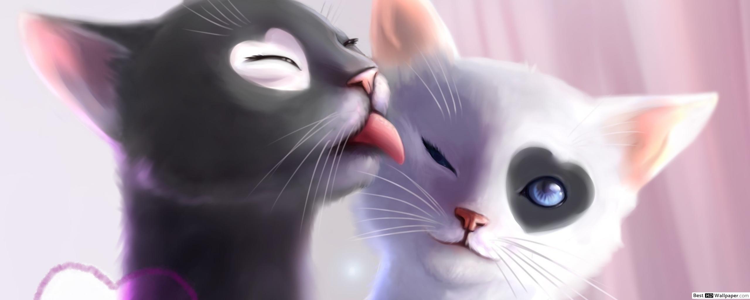 Black and White Cat Romance HD wallpaper download