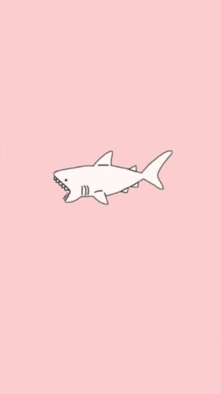 Download Cute Shark HD Wallpaper and Background