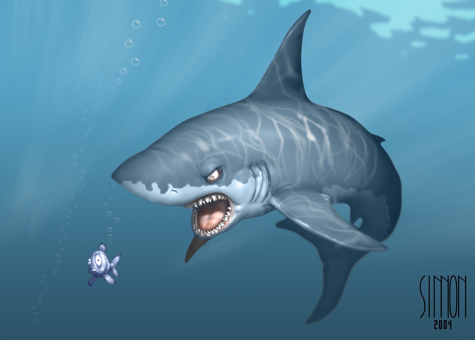 Title Animal Shark Sharks Cartoon Humor Funny Body Covering HD Wallpaper