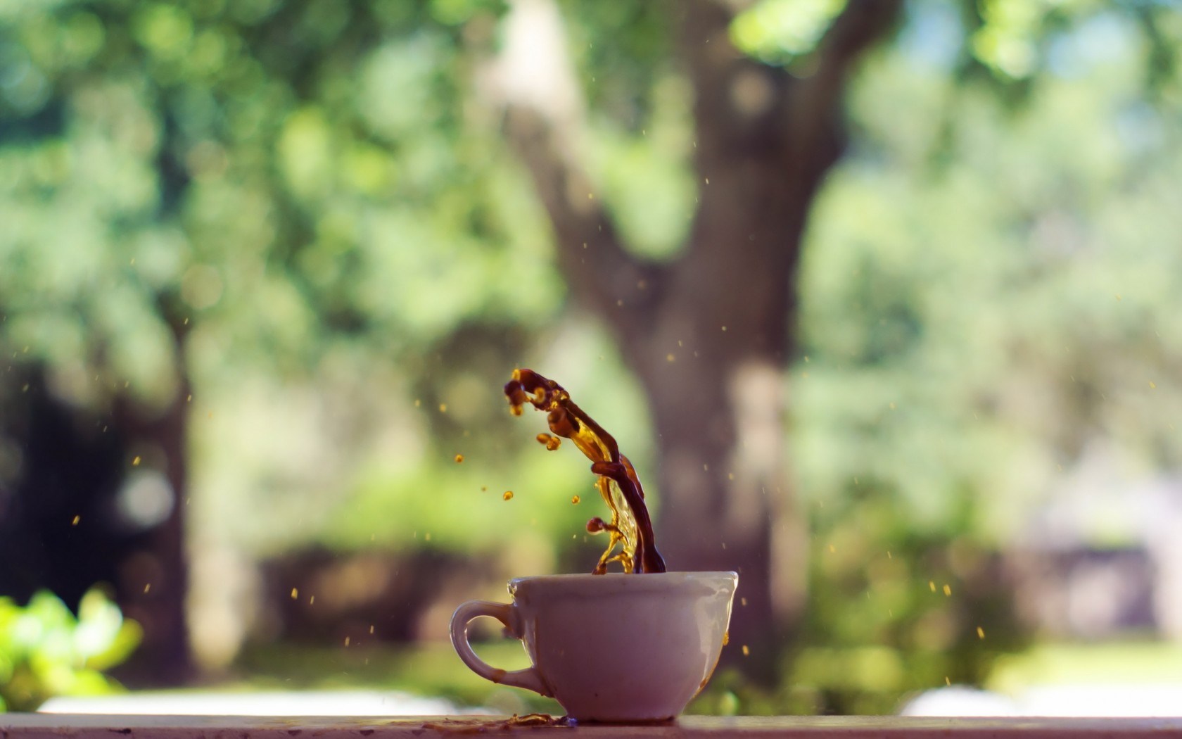 Cup of Coffee Splash
