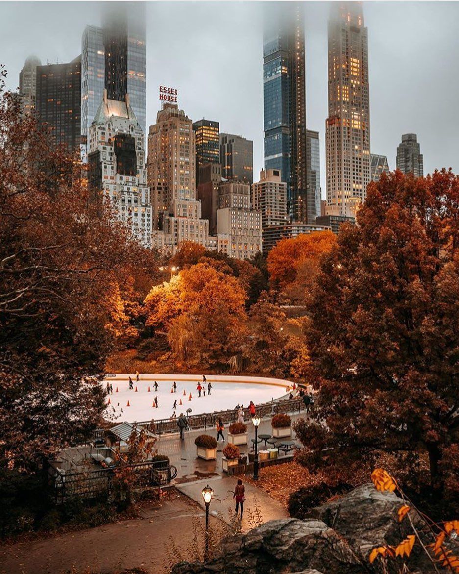 autumn #fall #road #coffee #cold #weather #cozy #leaves #pumpkins #nature #autumnvibes. Christmas in new york aesthetic, Ice skating, Autumn in new york