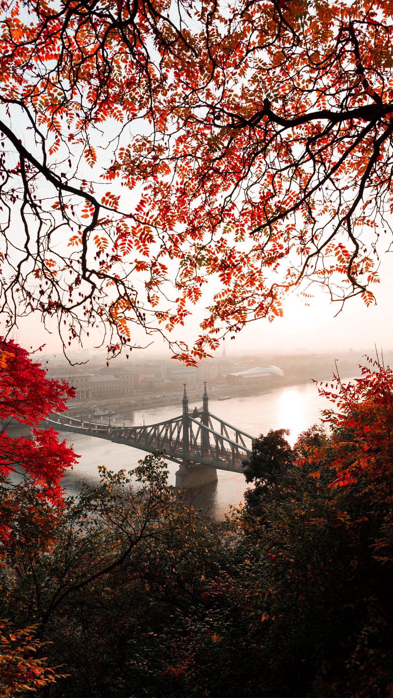 Download wallpaper 1350x2400 bridge, autumn, city, citadella, budapest, hungary iphone 8+/7+/6s+/for parallax HD background