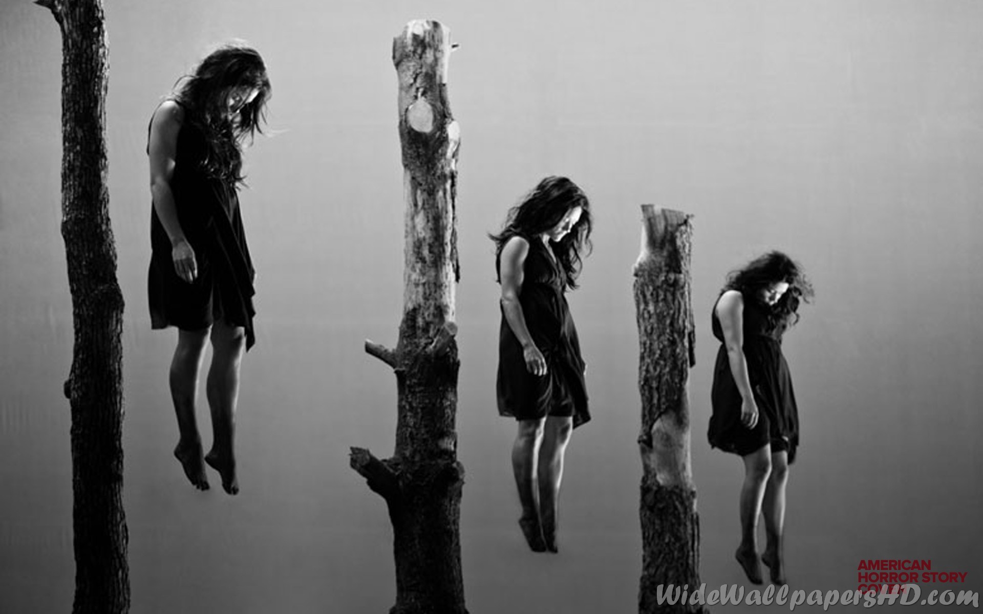 Wallpaper American Horror Story Wide HD Horror Story Coven Promo