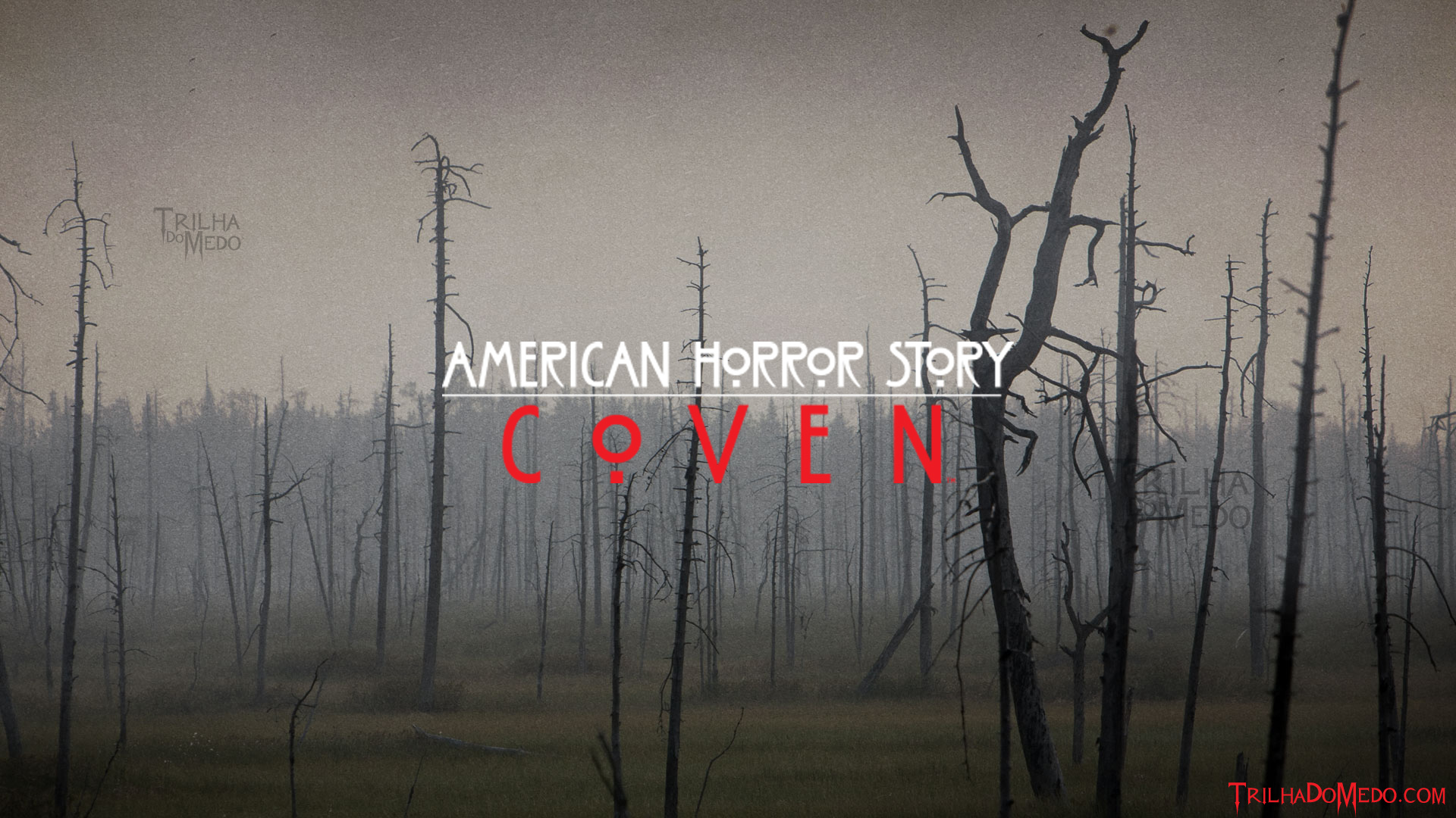 Free download American Horror Story Coven Wallpaper American horror story [1920x1080] for your Desktop, Mobile & Tablet. Explore American Horror Story Coven Wallpaper. American Horror Story Hotel Wallpaper, American
