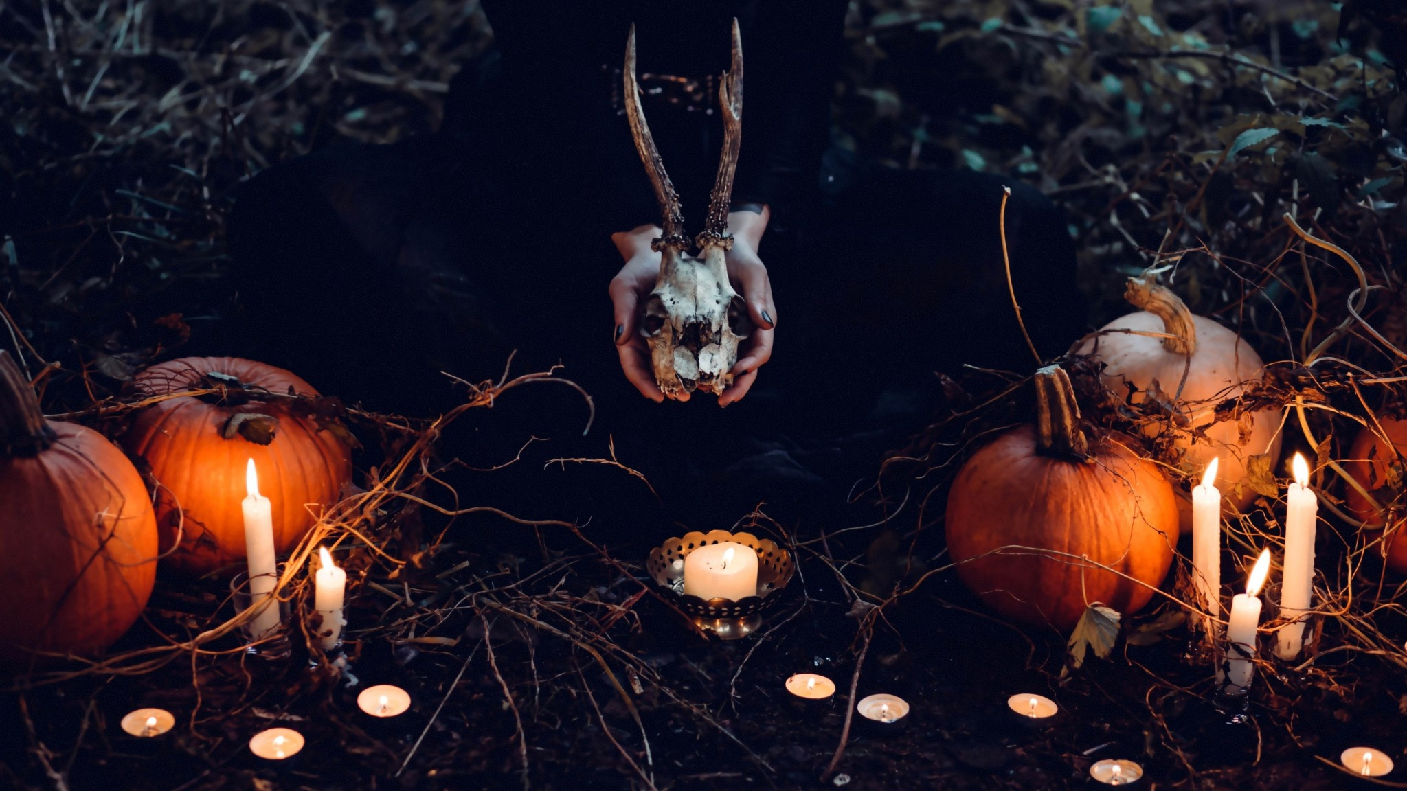 Download 2048x1152 Halloween Pumpkins, Skull, Candles, Ritual Wallpaper