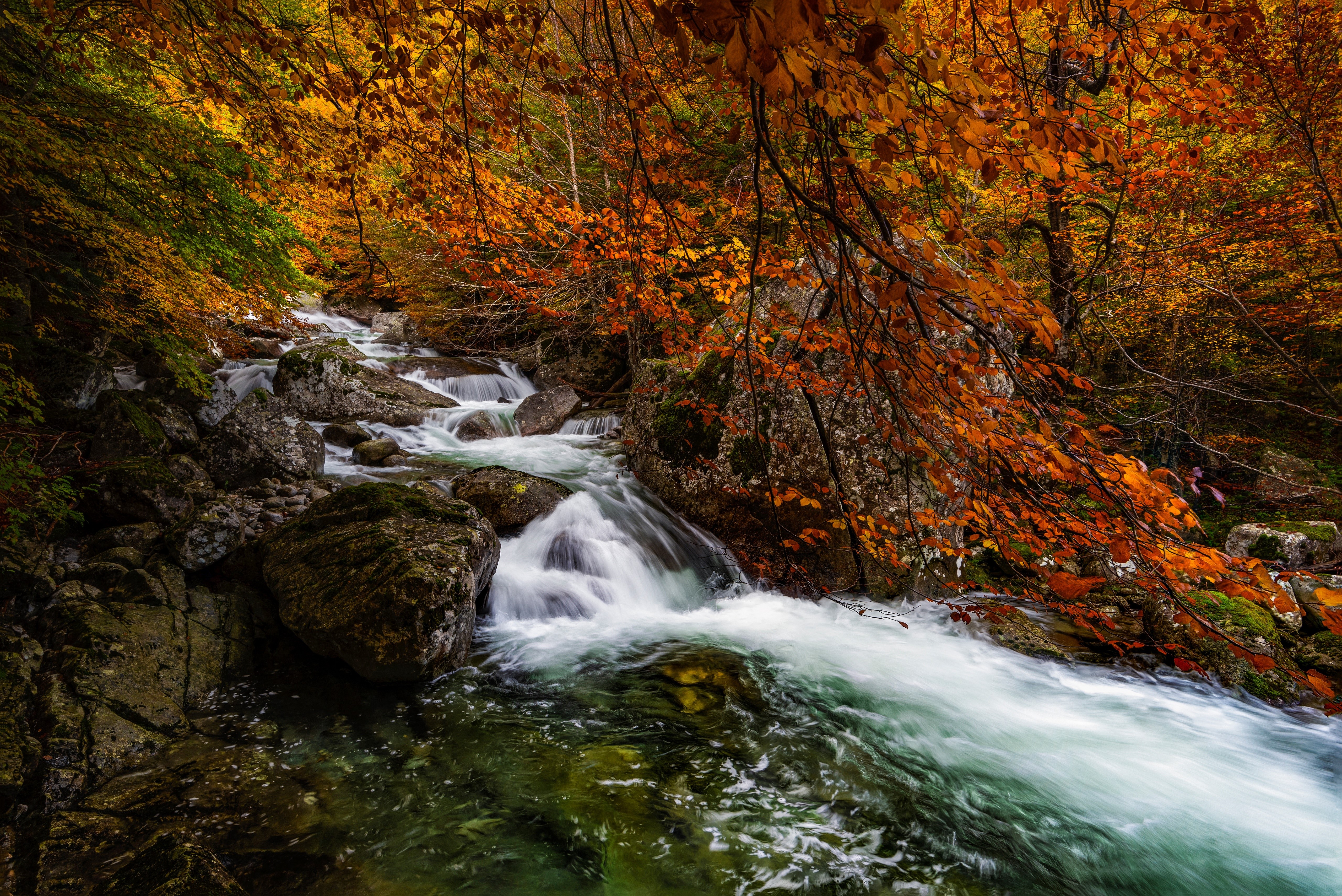 4K, 5K, Aragon, Salenques River, Posets Maladeta Natural Park, Spain, Forests, Autumn, Rivers, Stones, Trees. Mocah HD Wallpaper